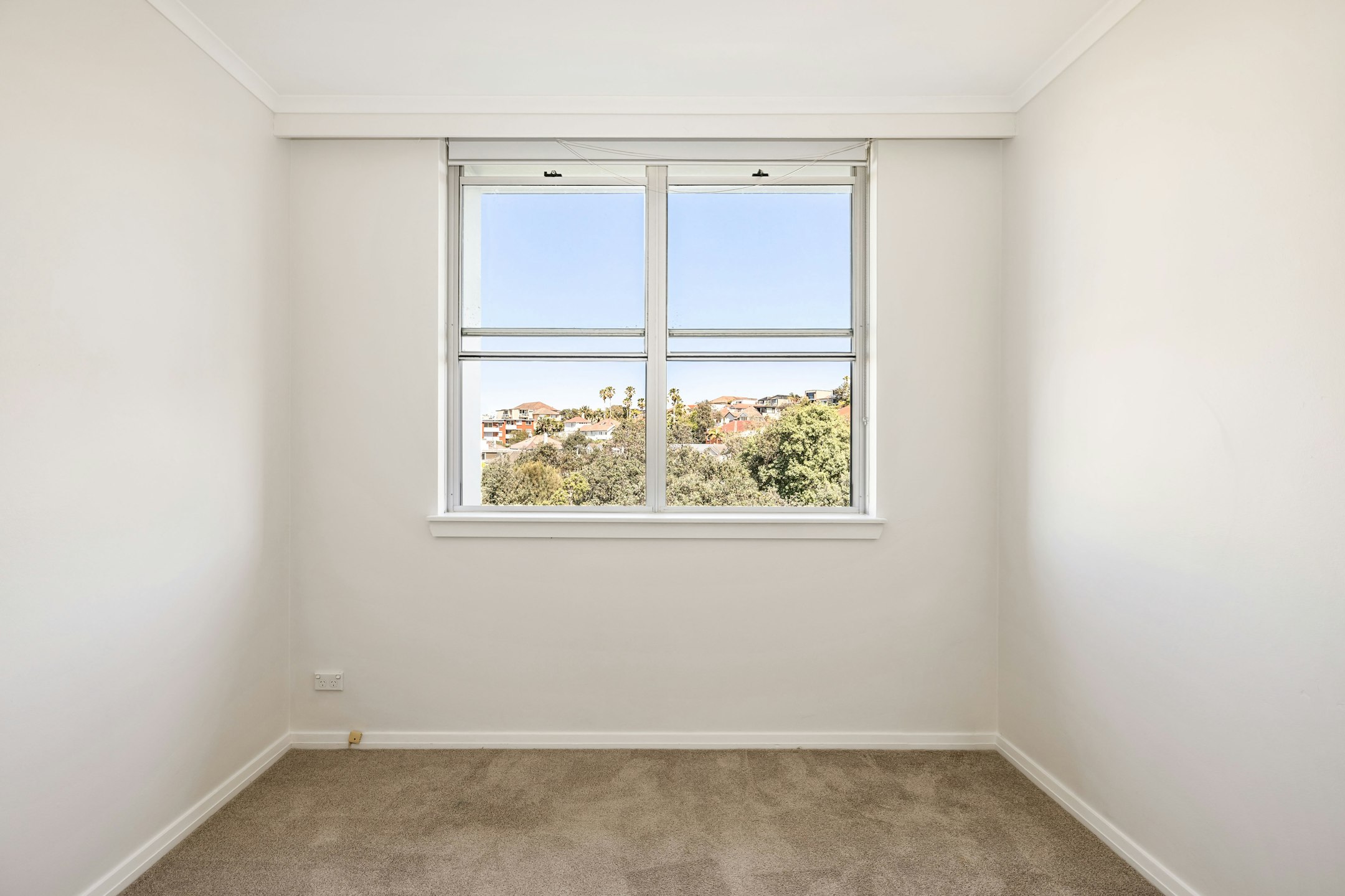 window