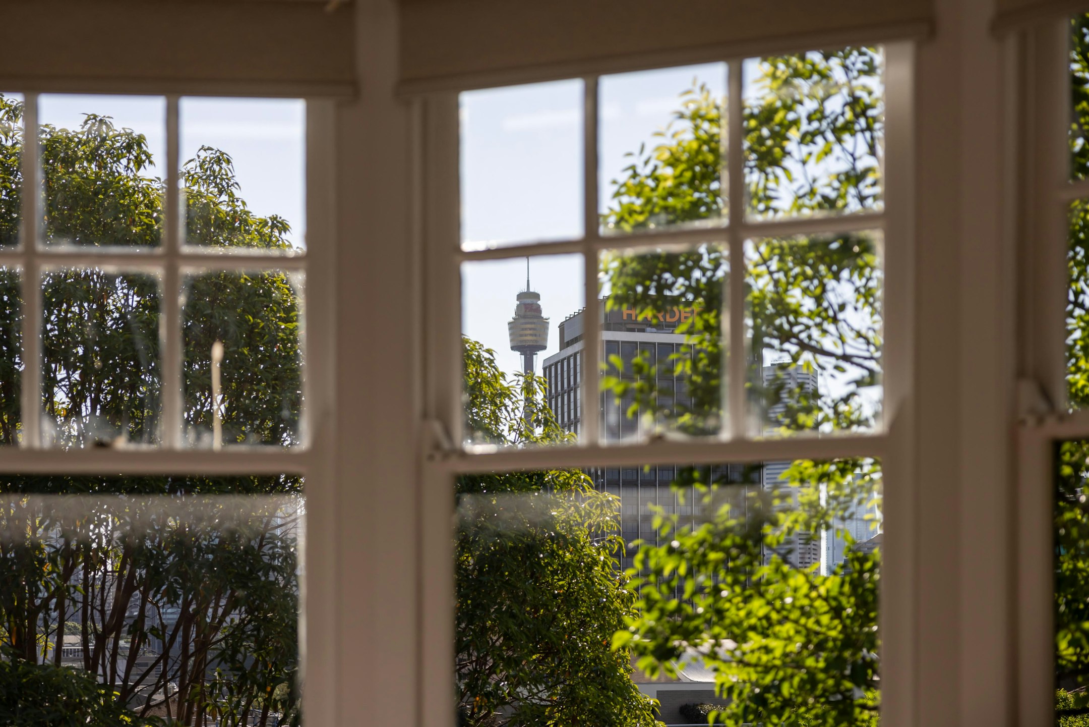 window
