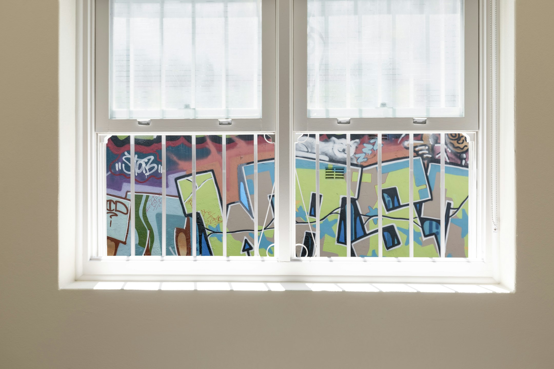 window
