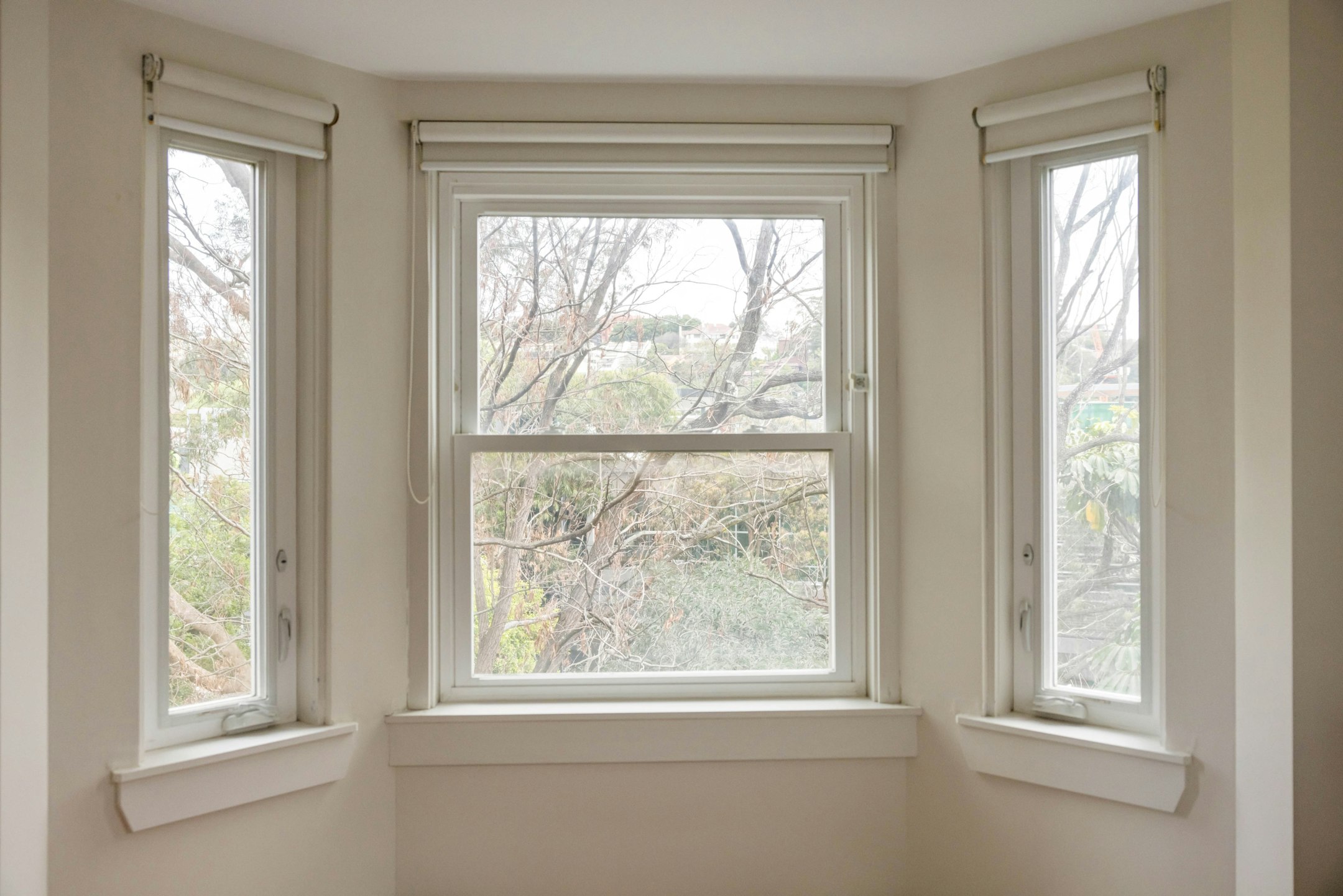 window