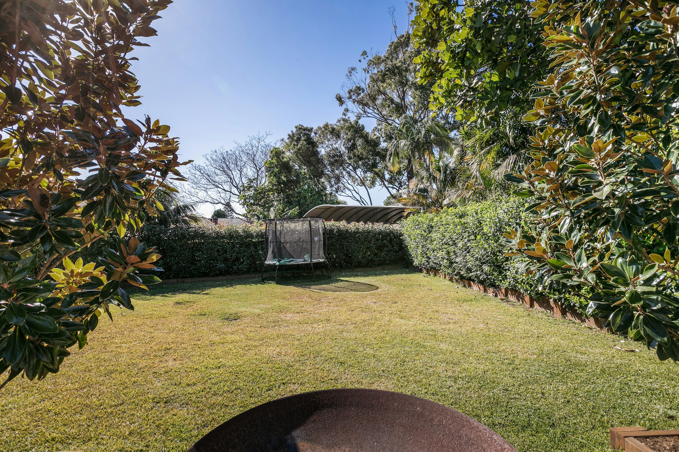 garden