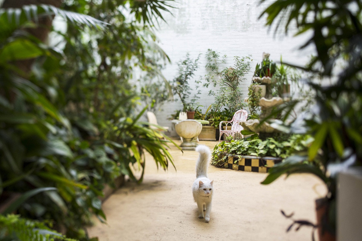 garden