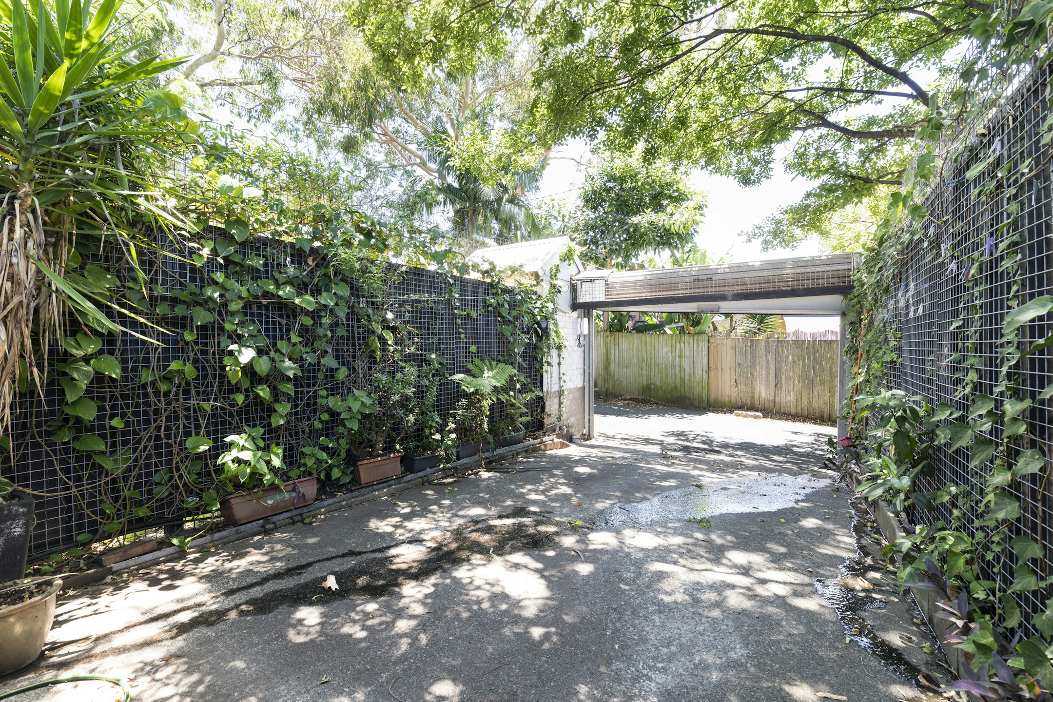 garden