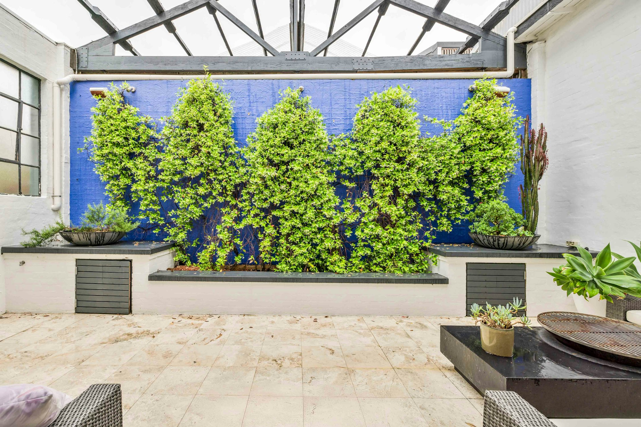 garden