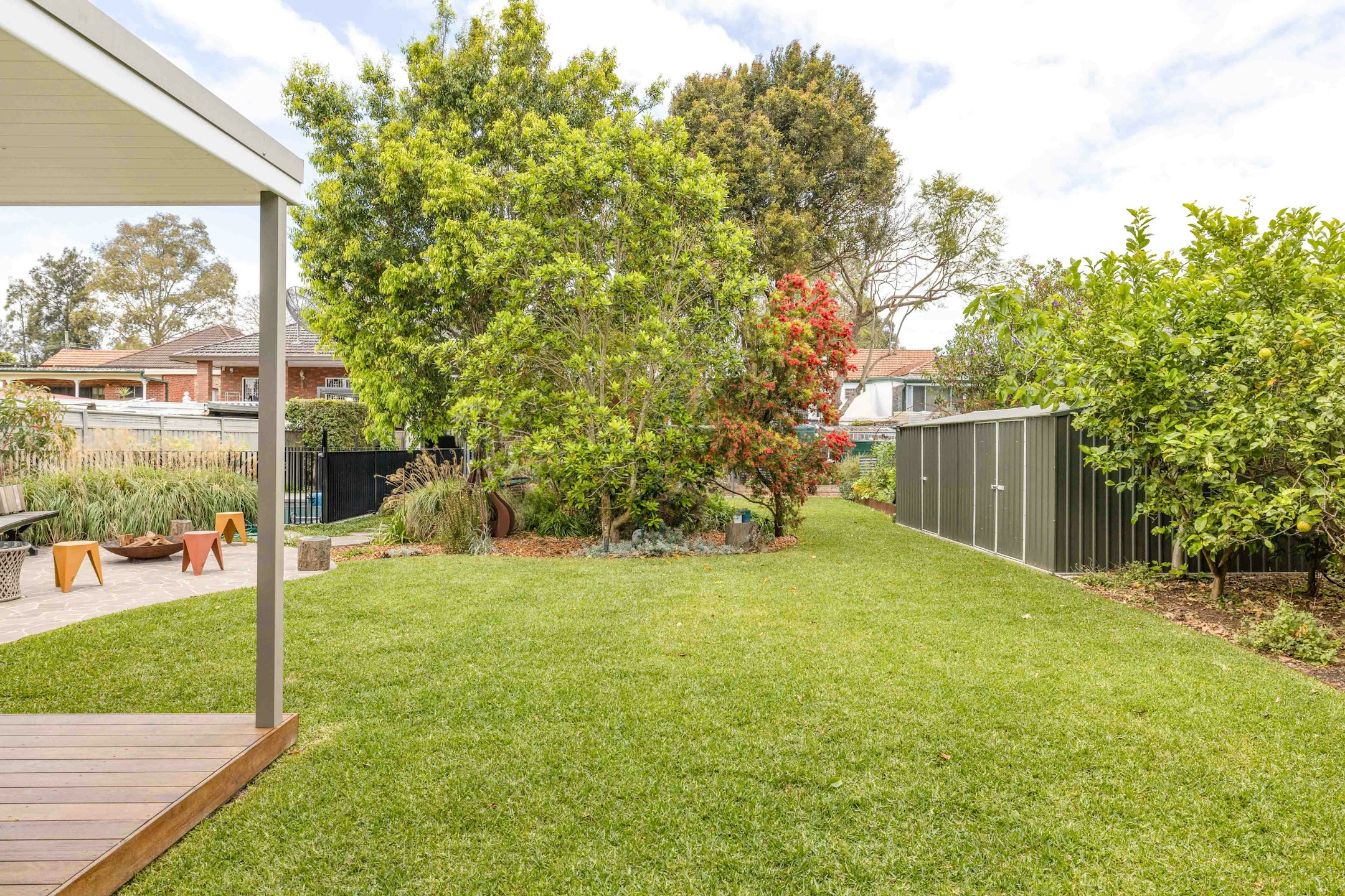backyard