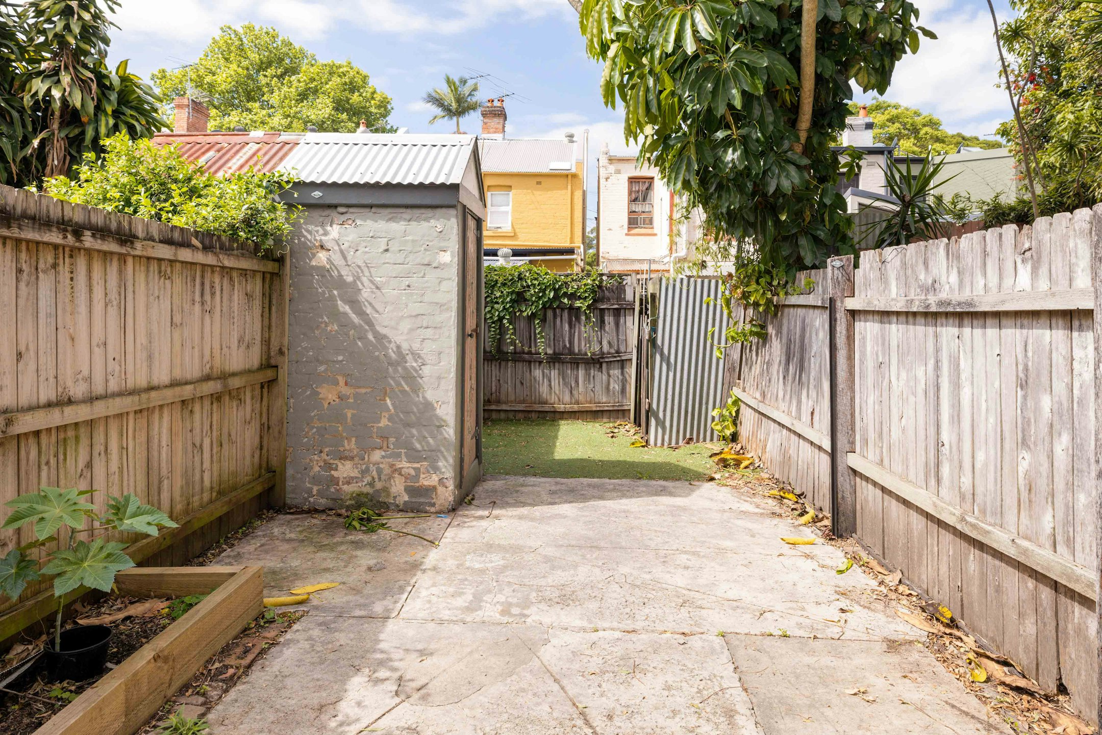 backyard