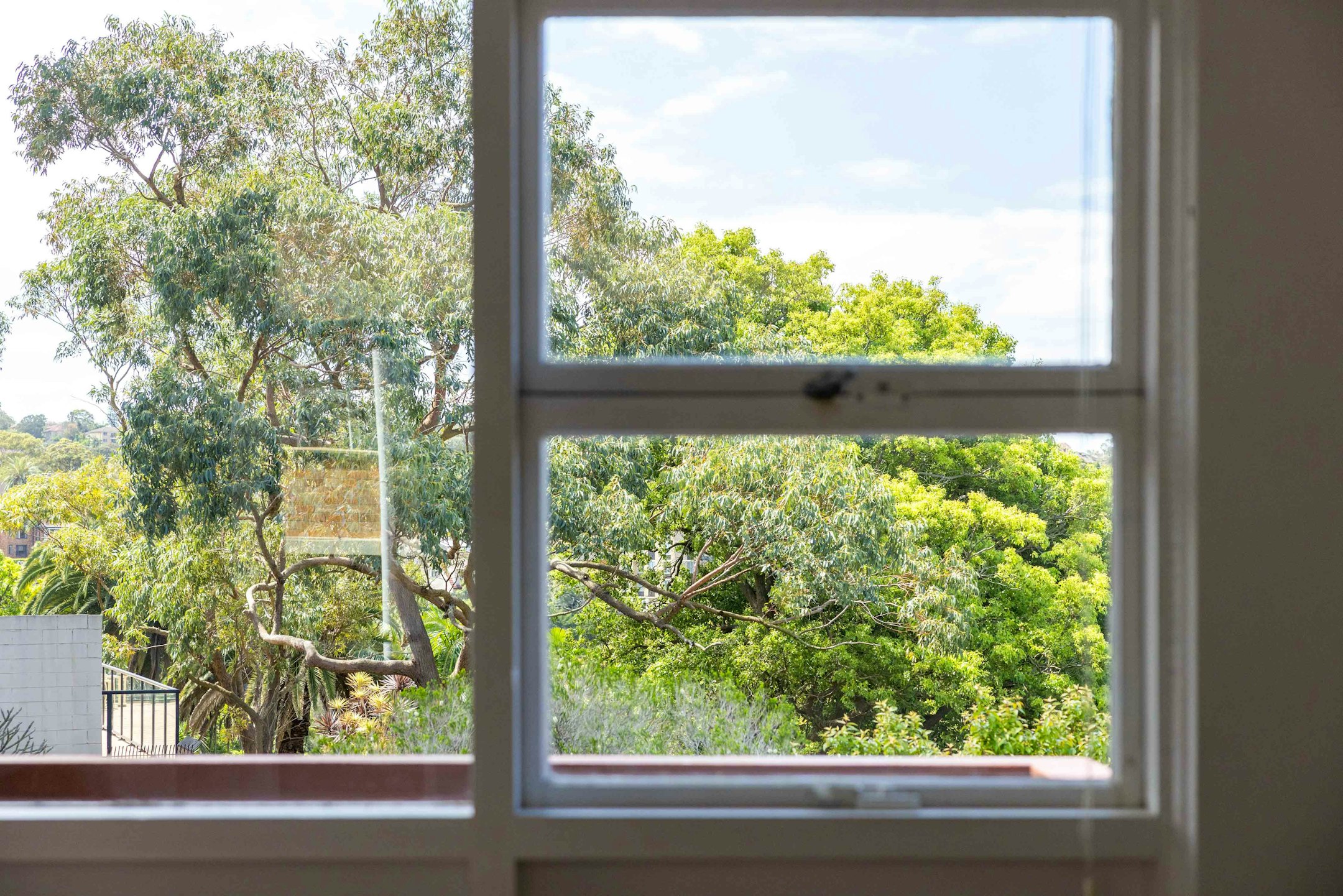 window