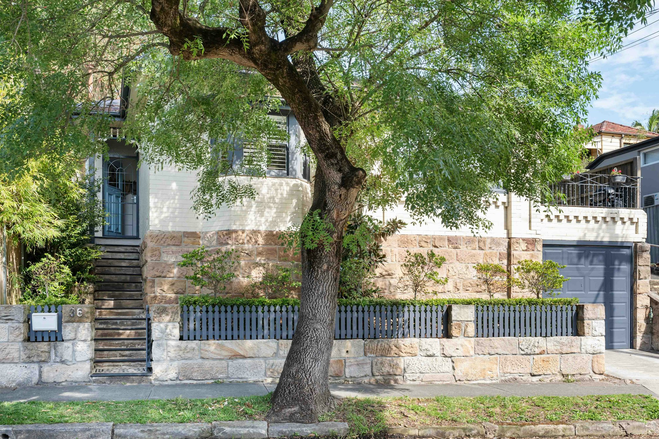 tree