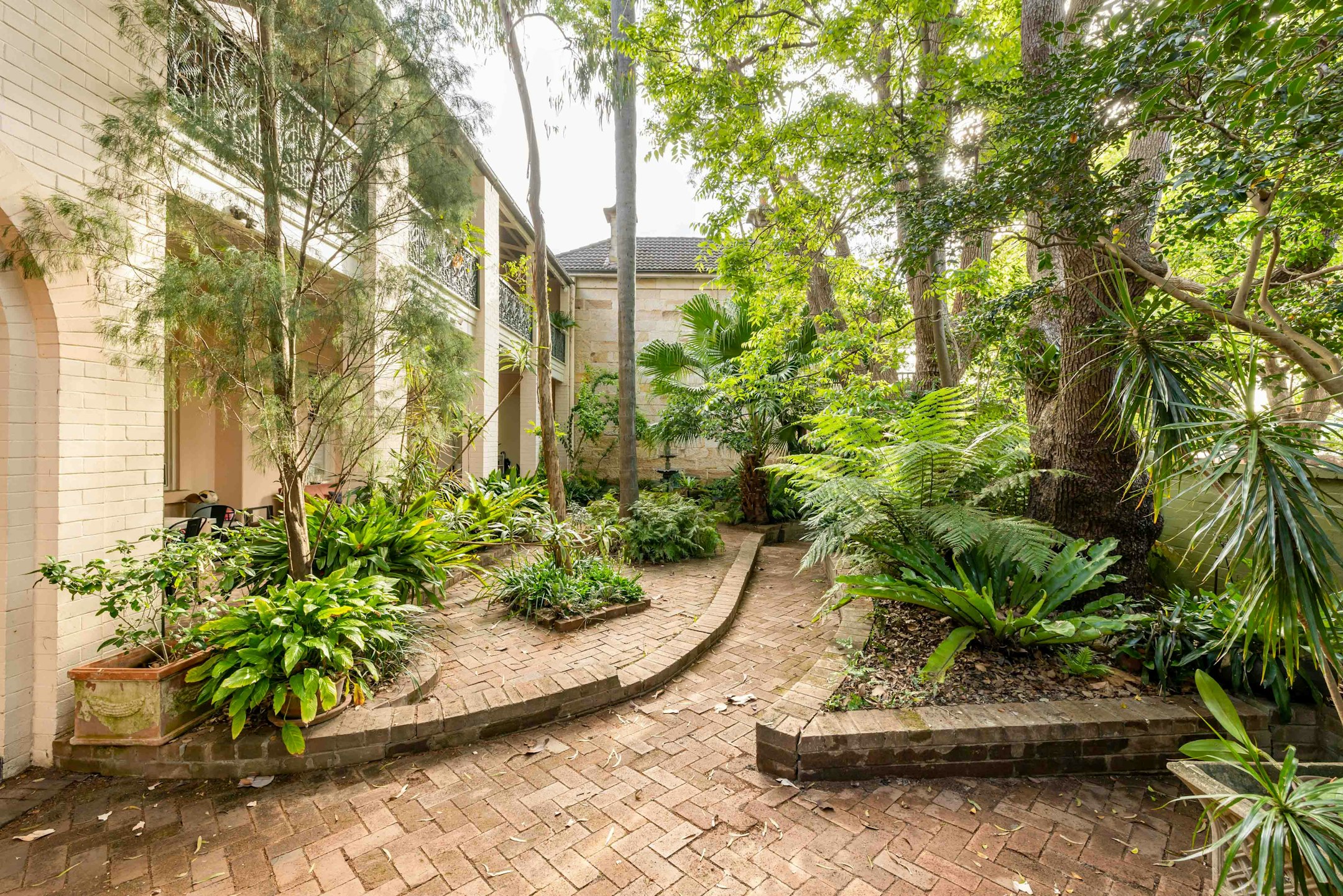 garden