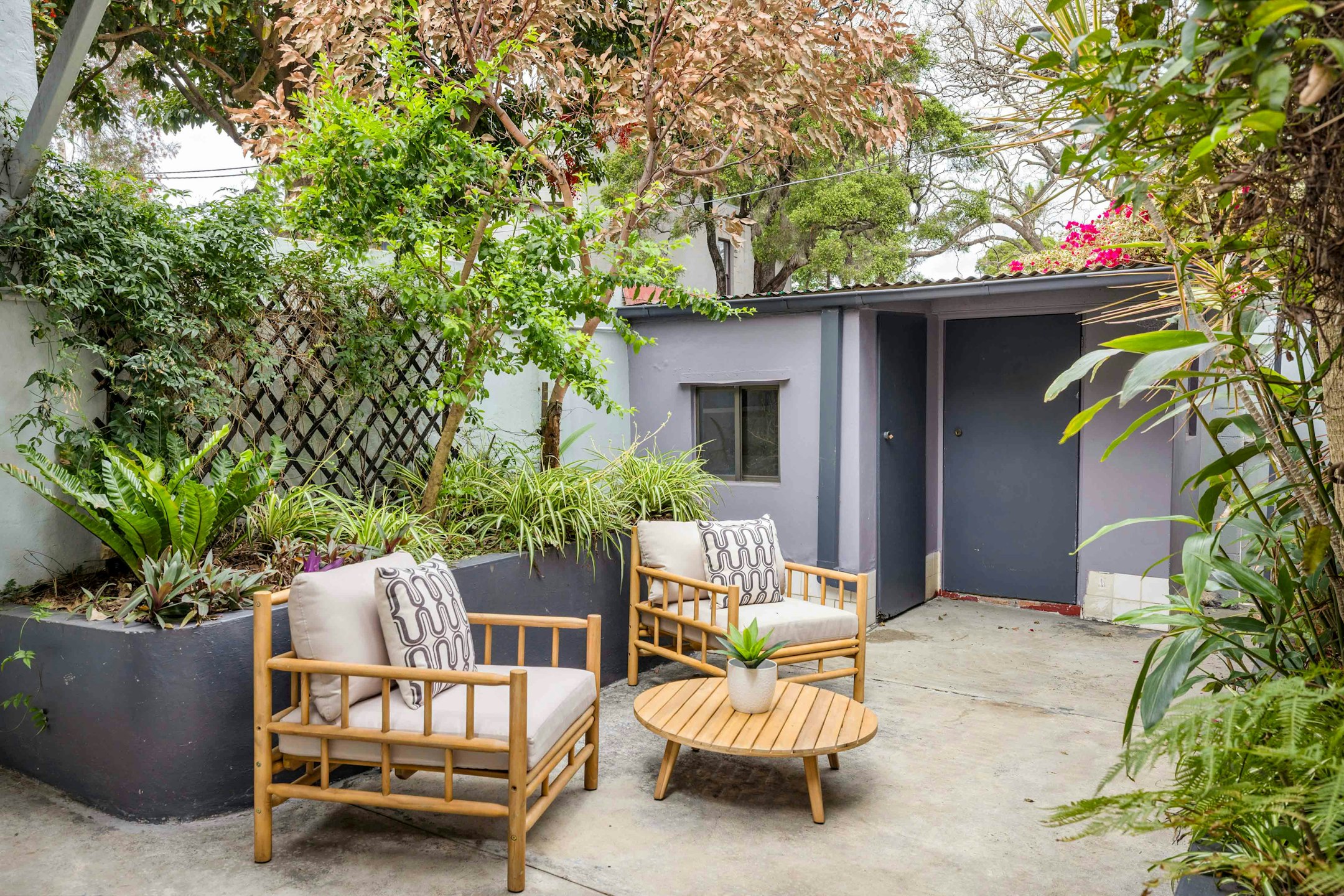 backyard