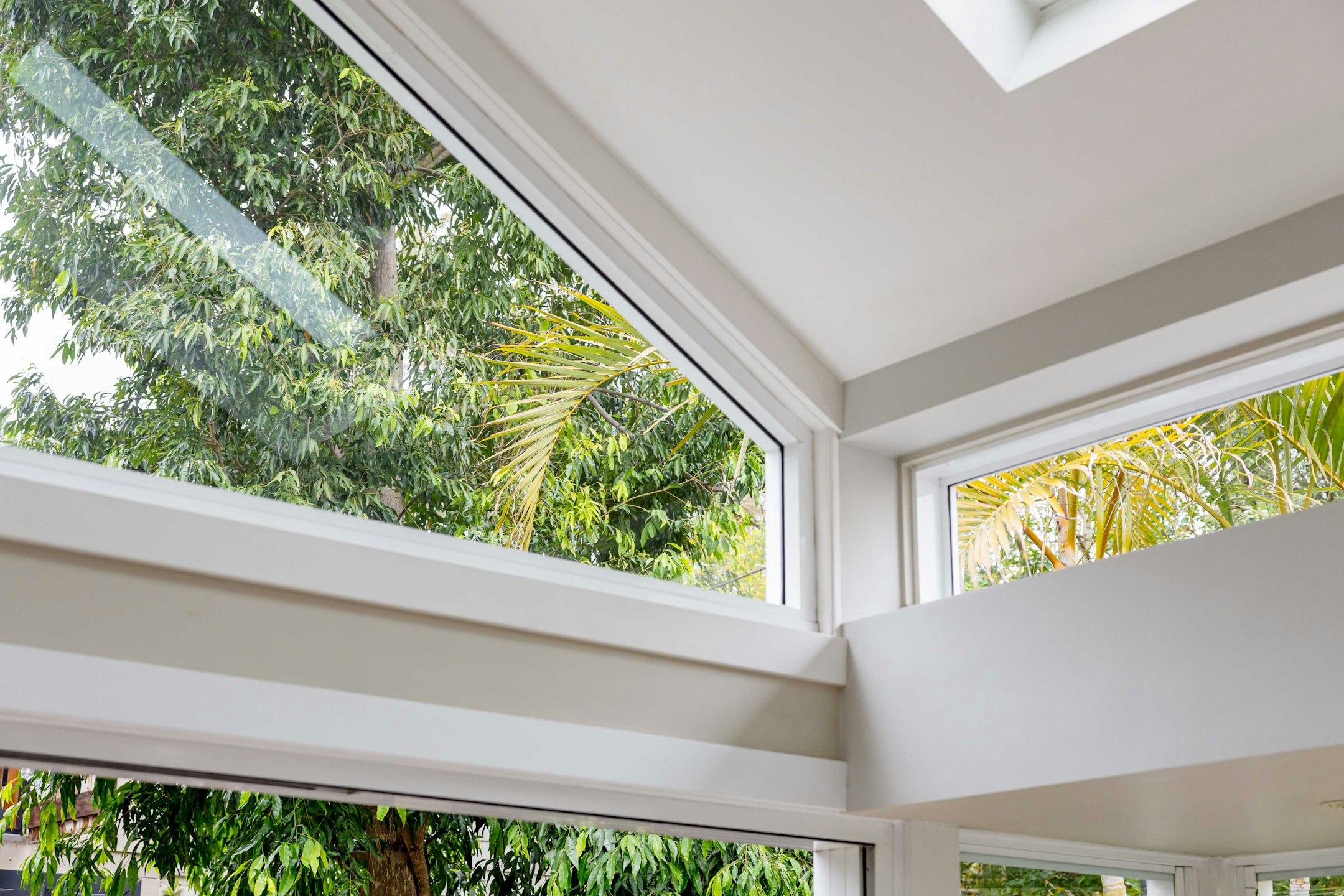 window