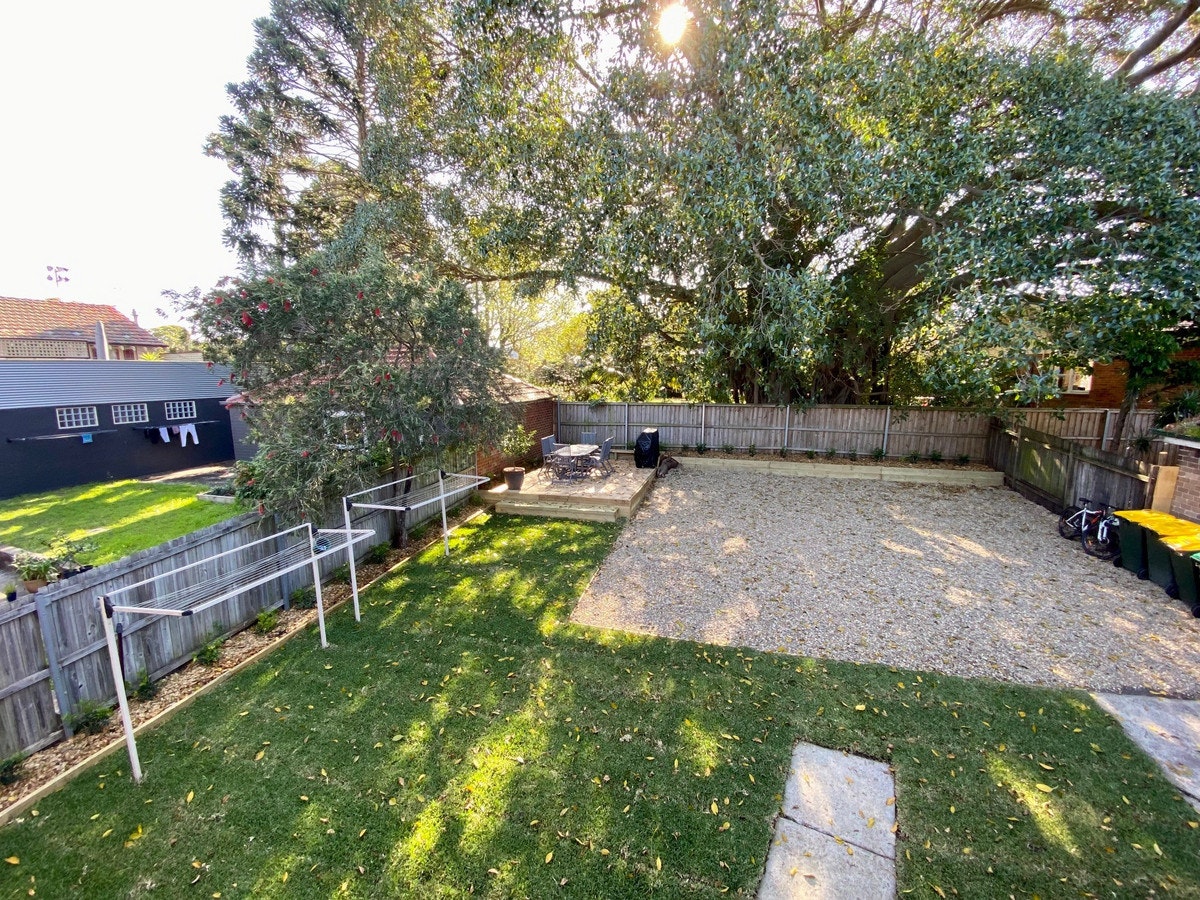 backyard