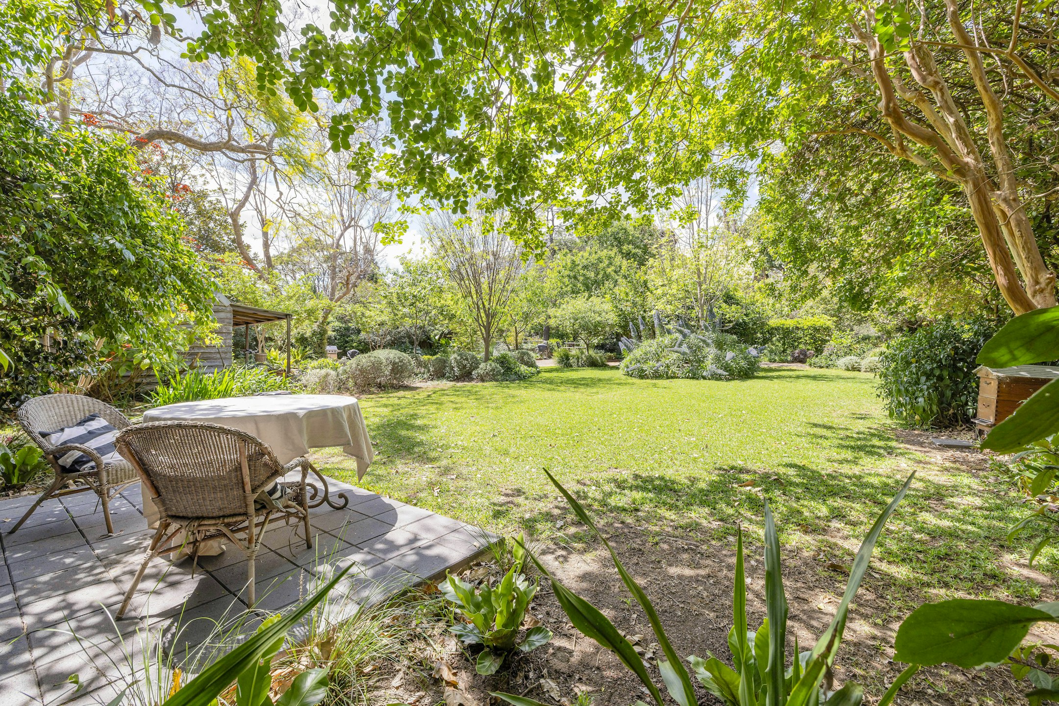 backyard