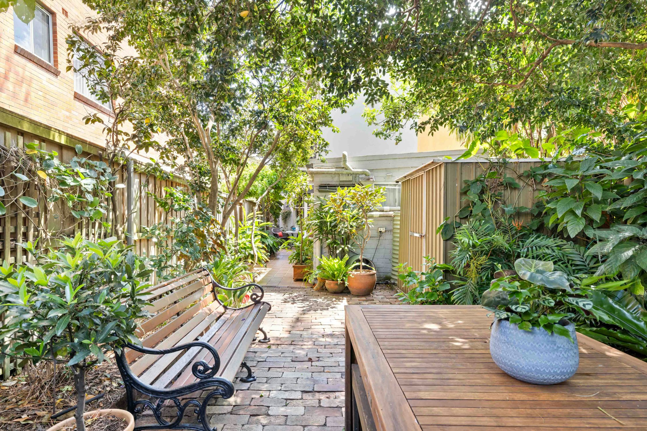 garden
