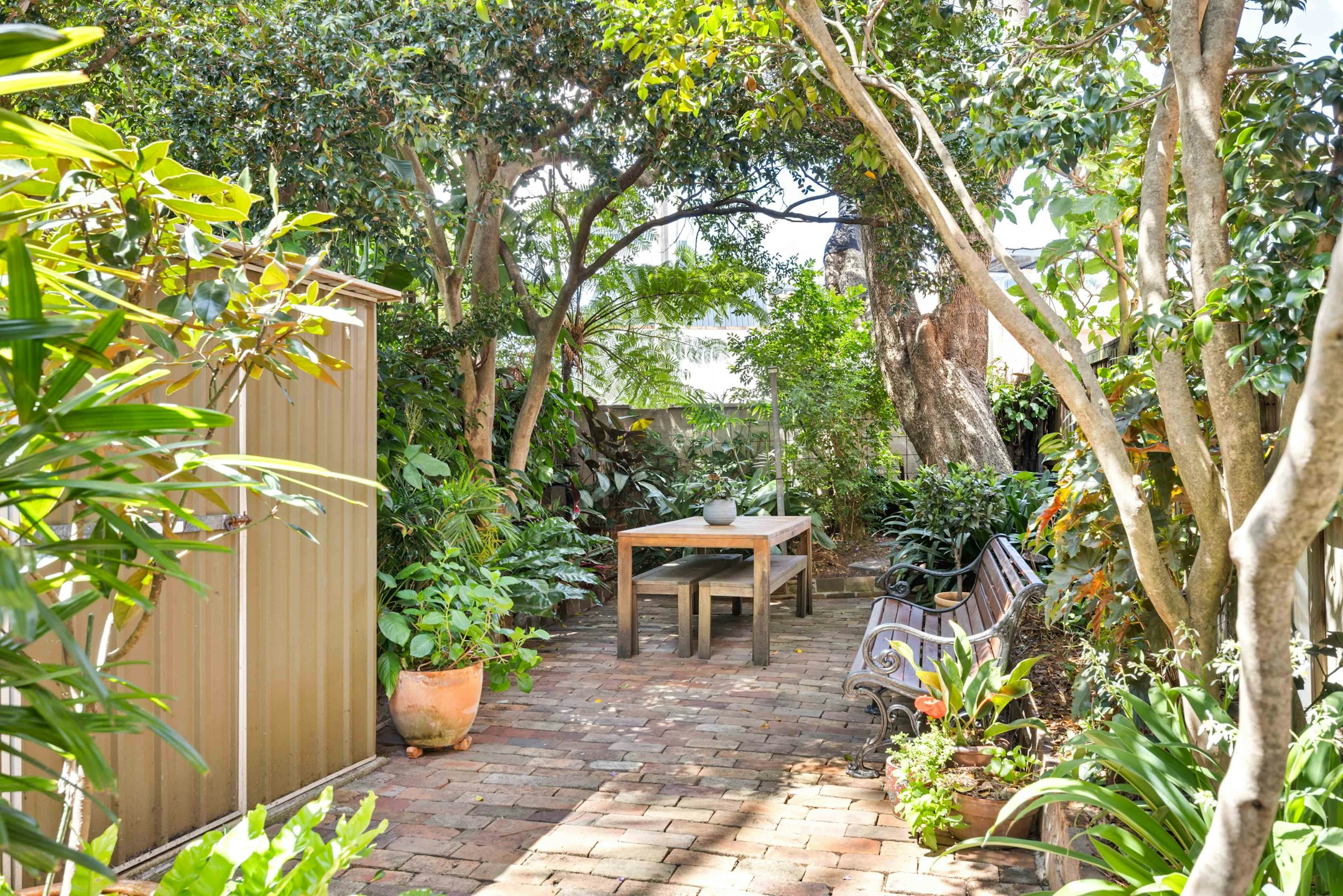 garden