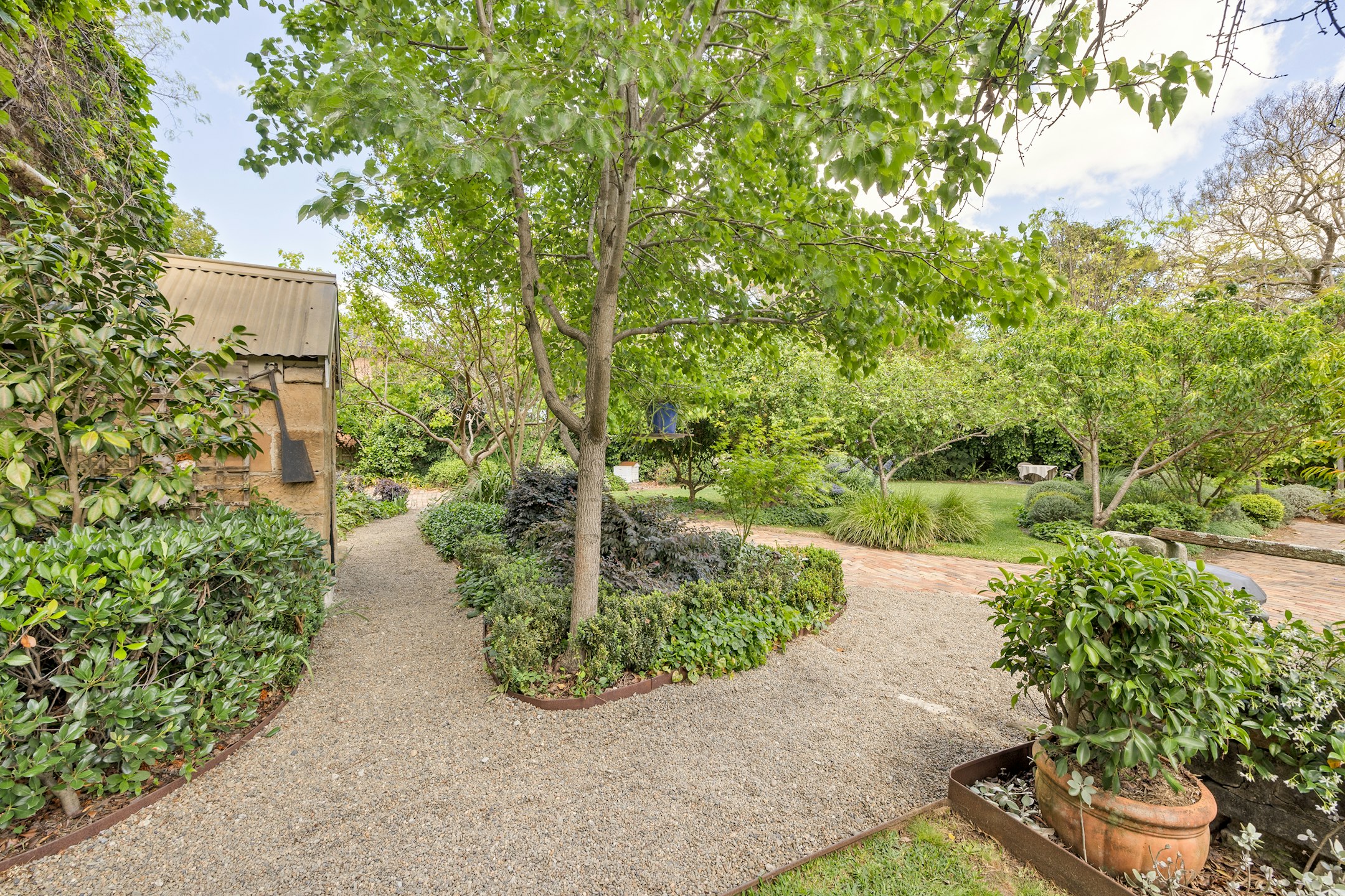 garden