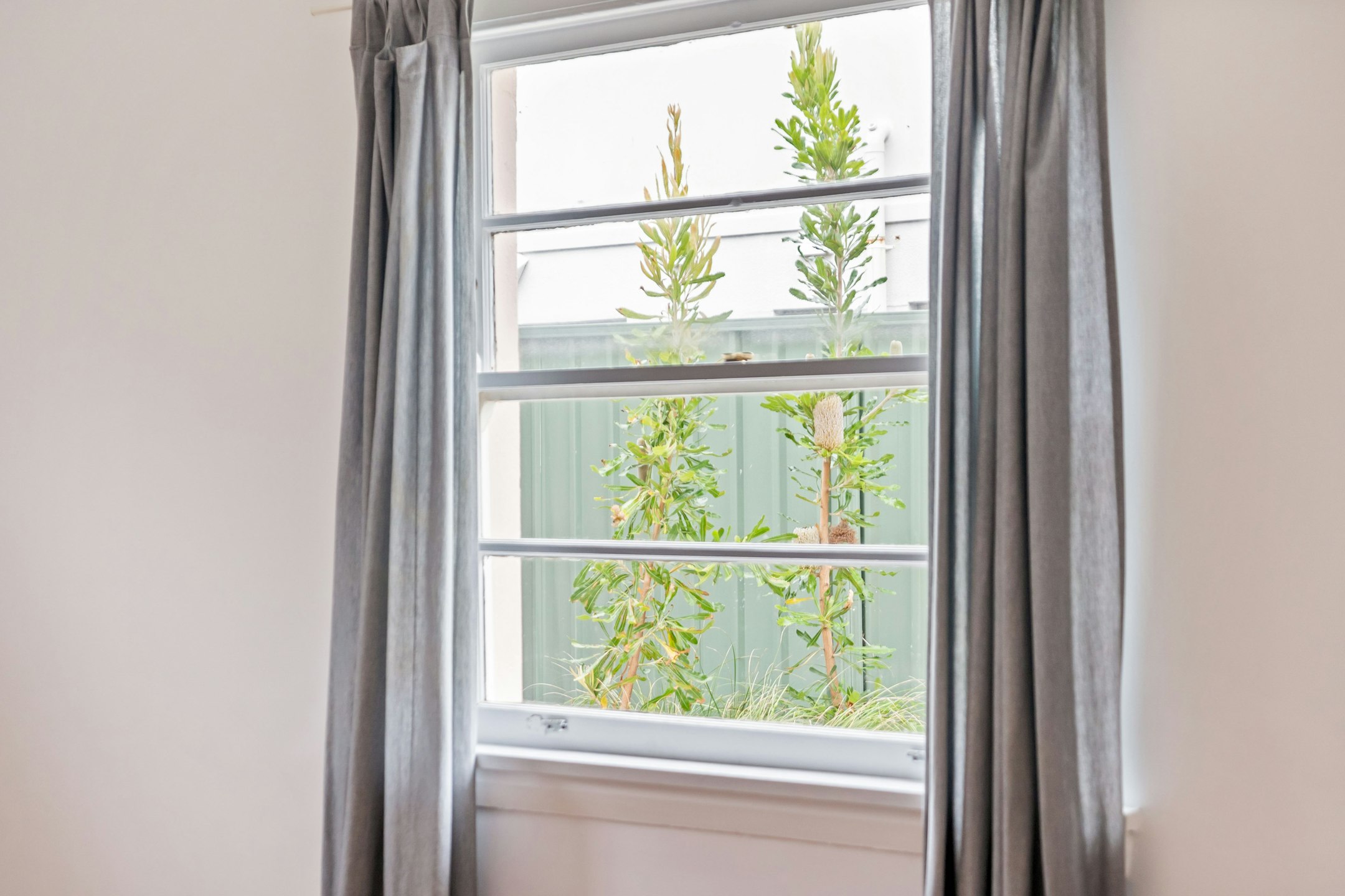 window