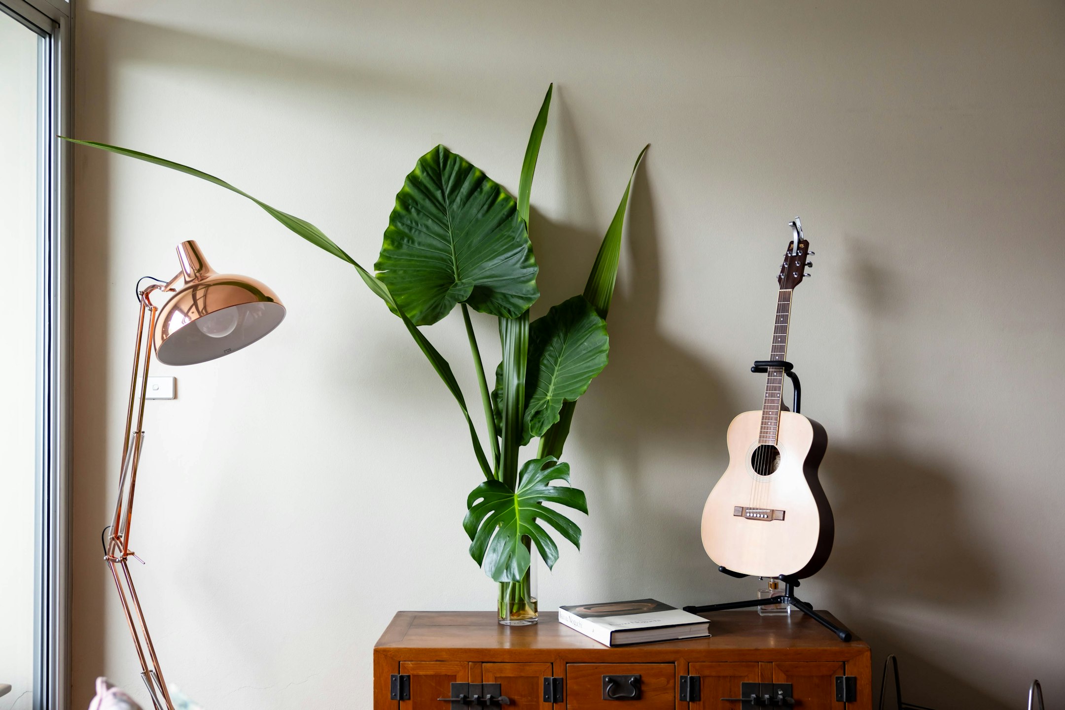 plant