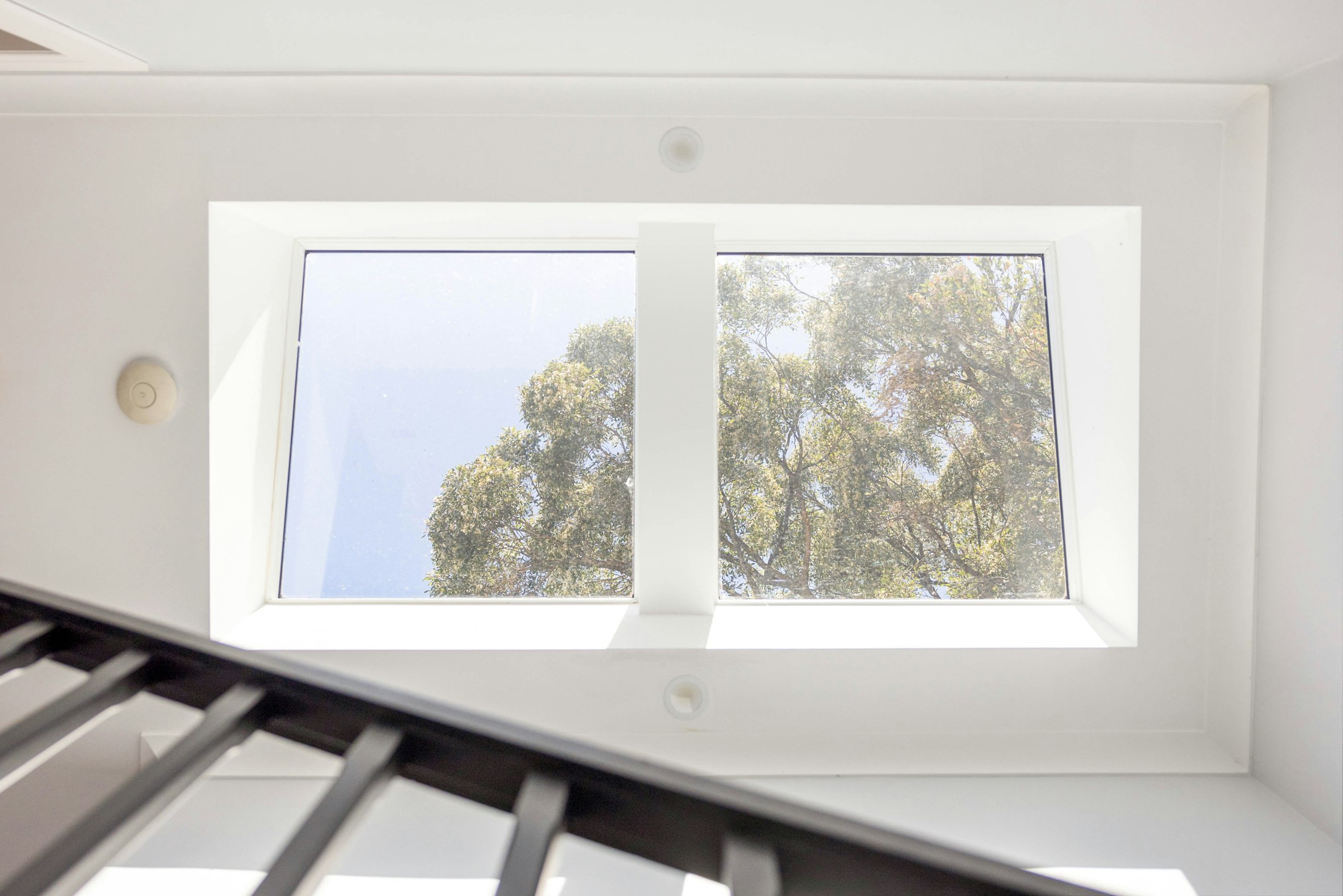 window