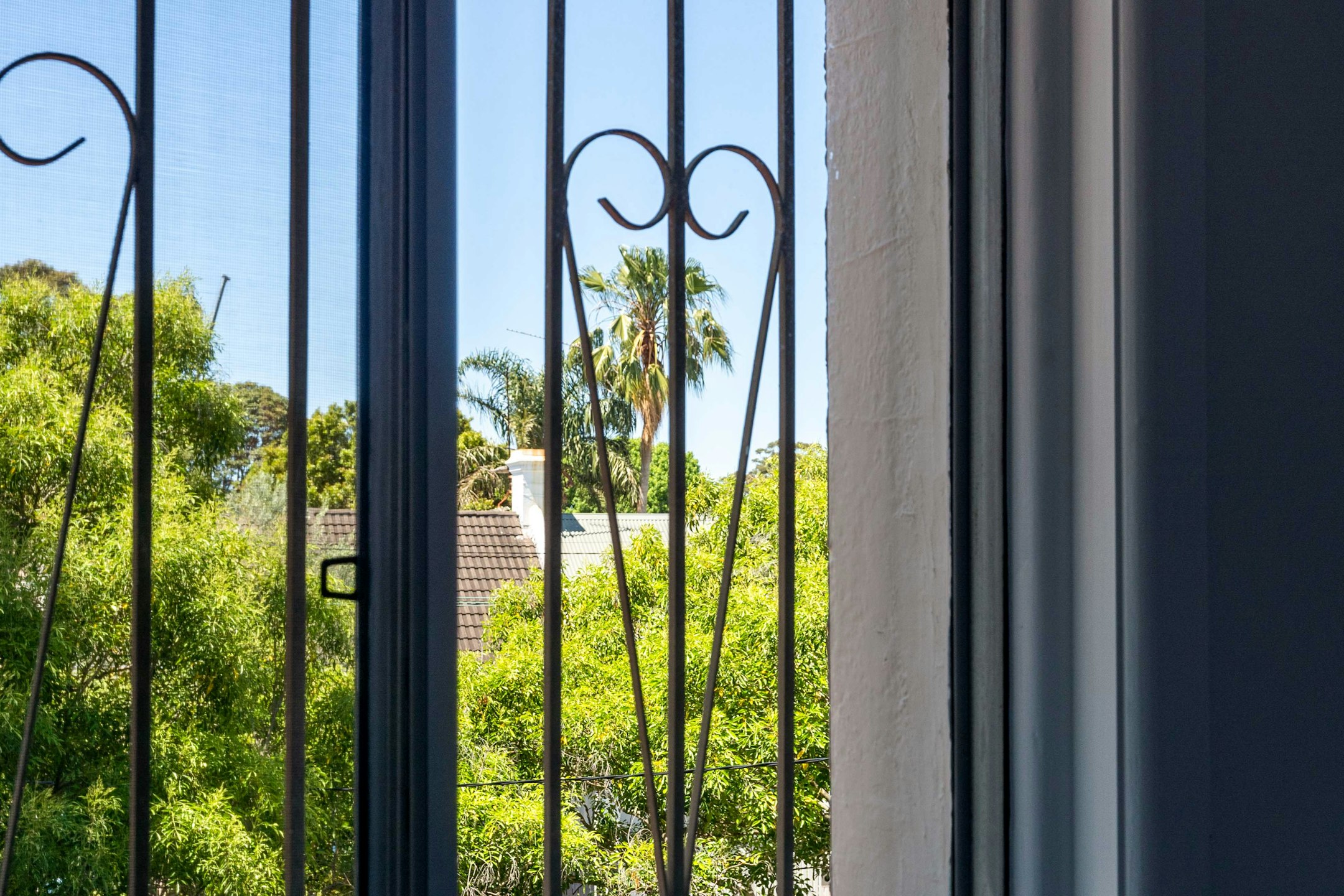 window