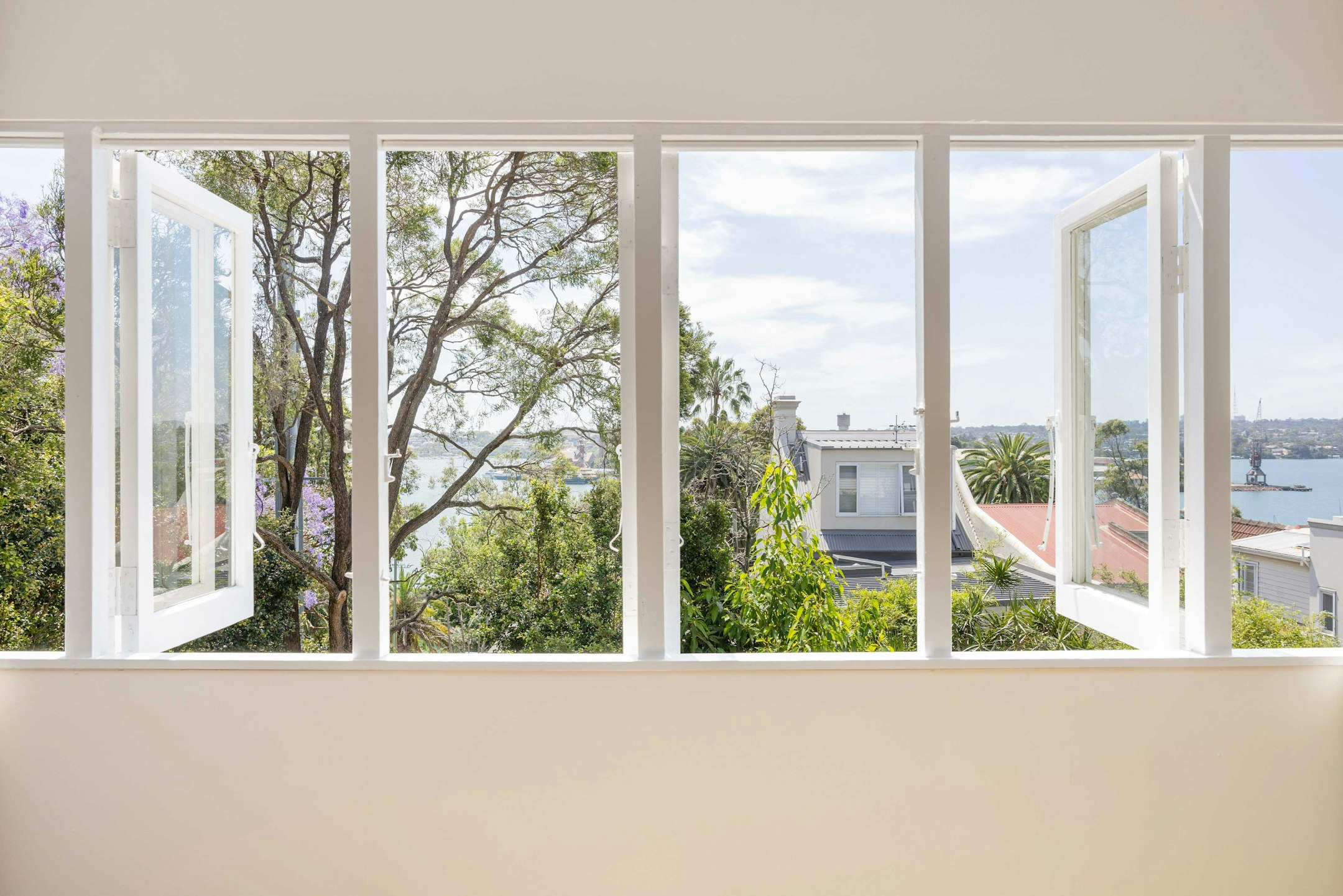 window