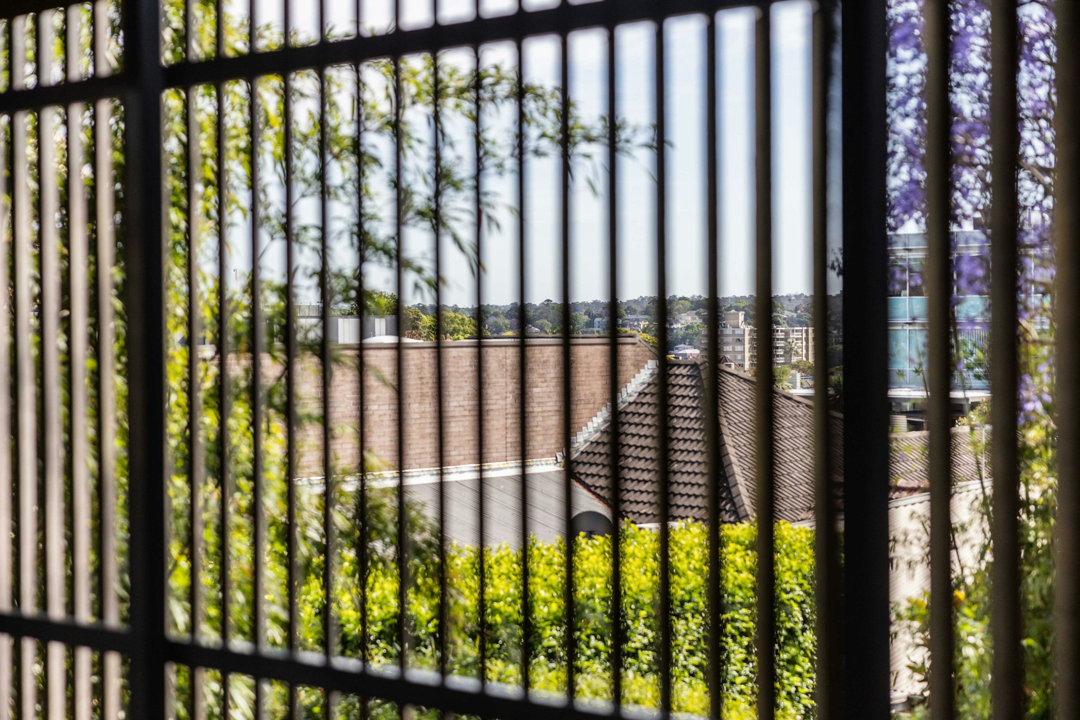 gate
