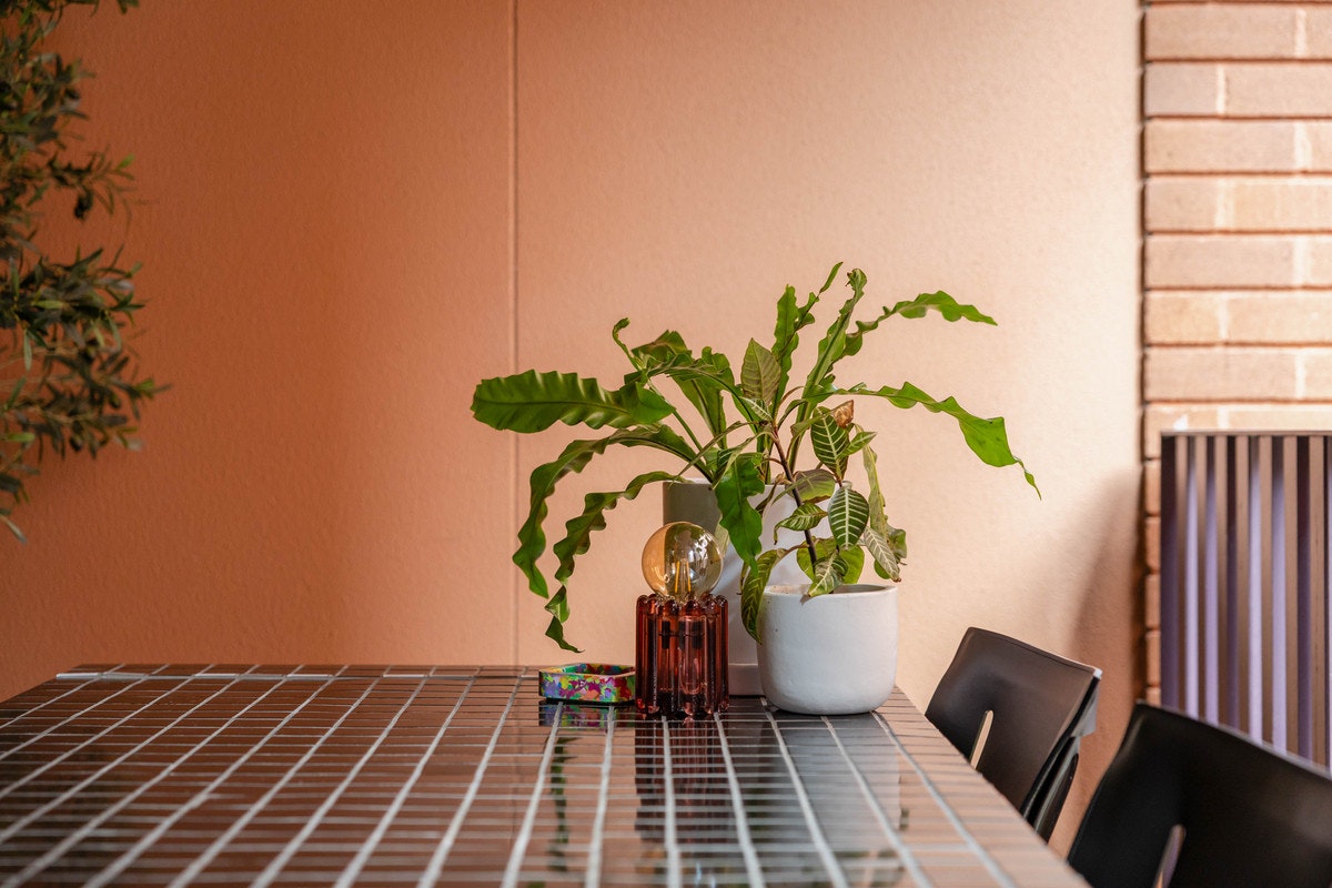 plant