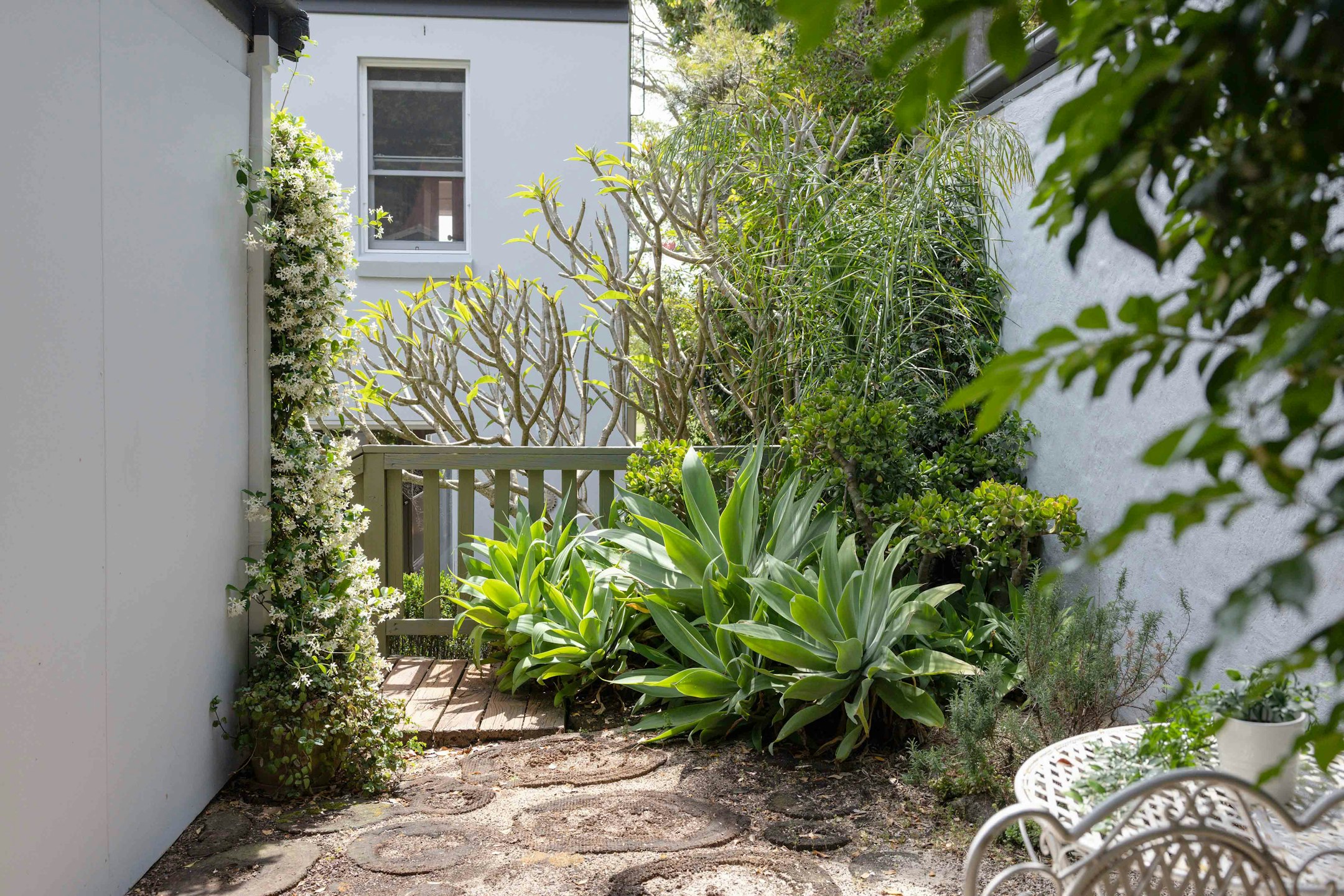 garden