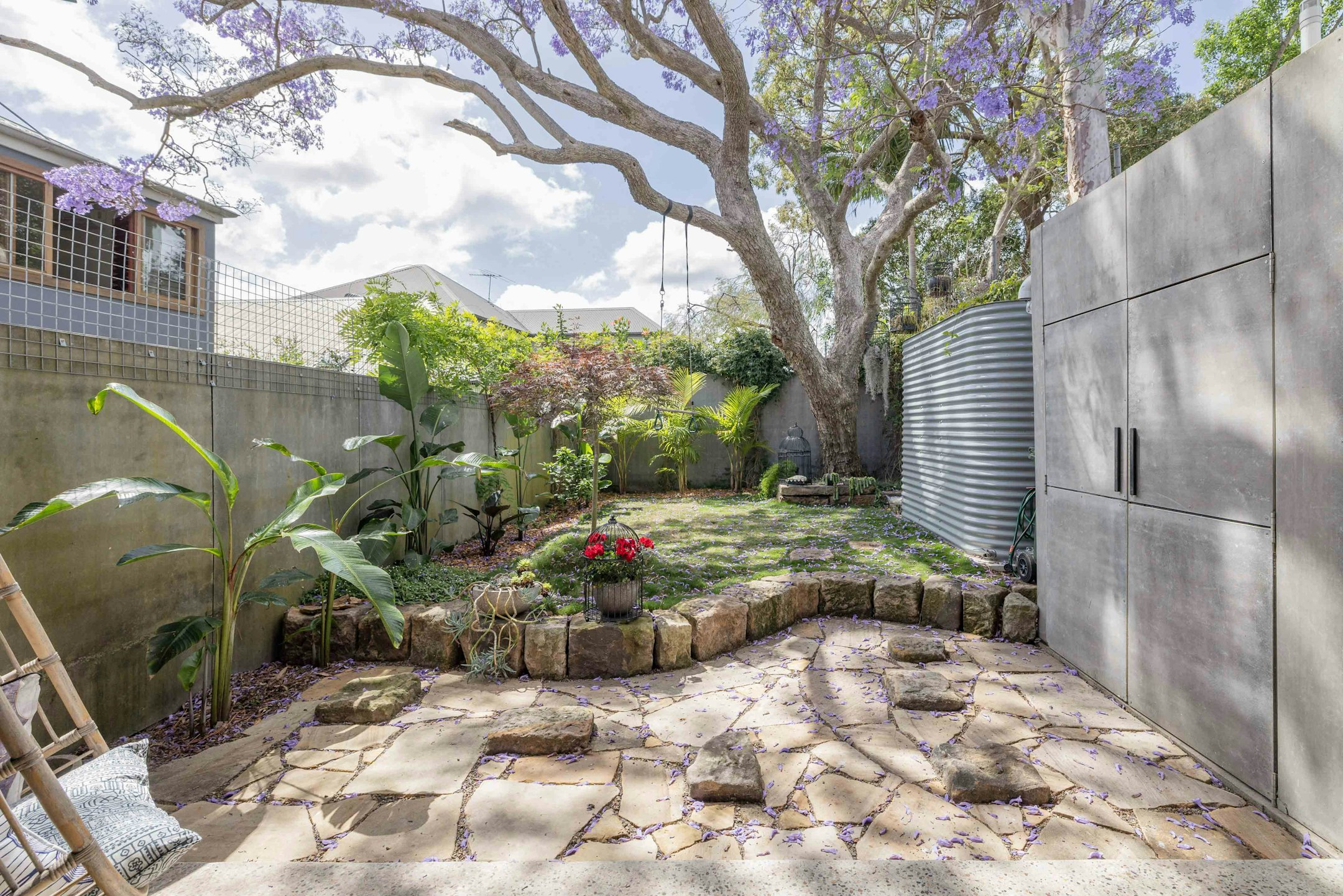 backyard