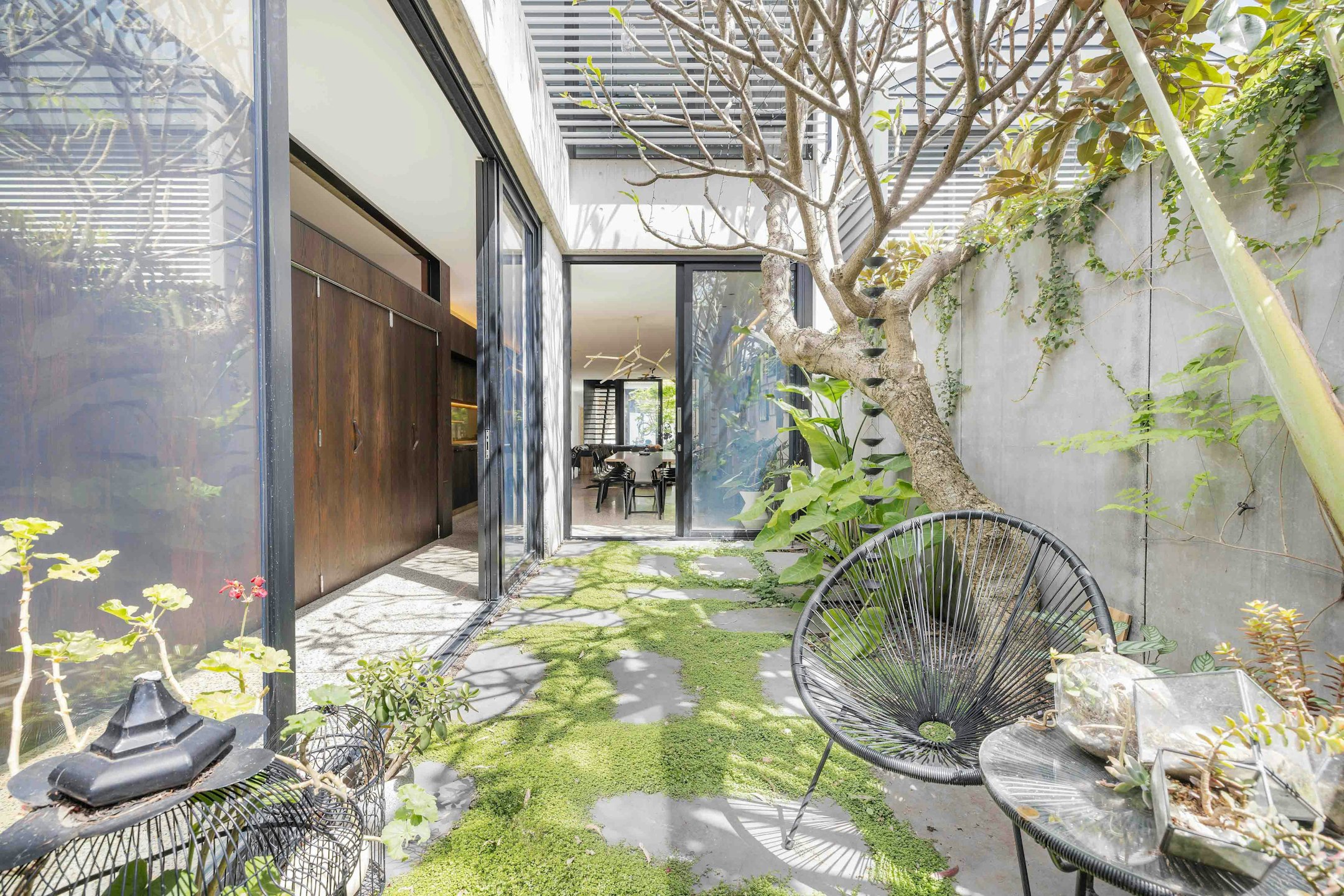 garden