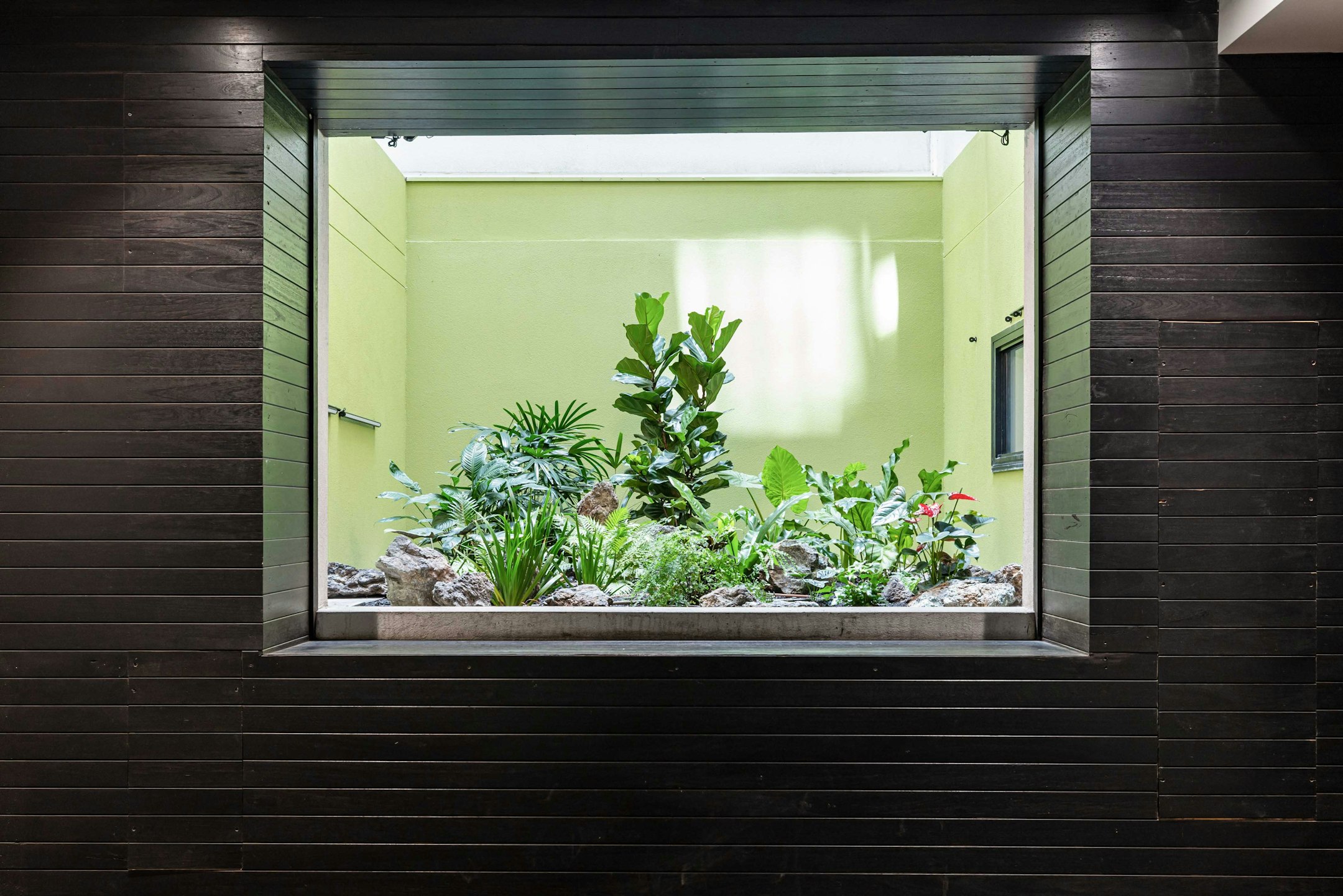 window