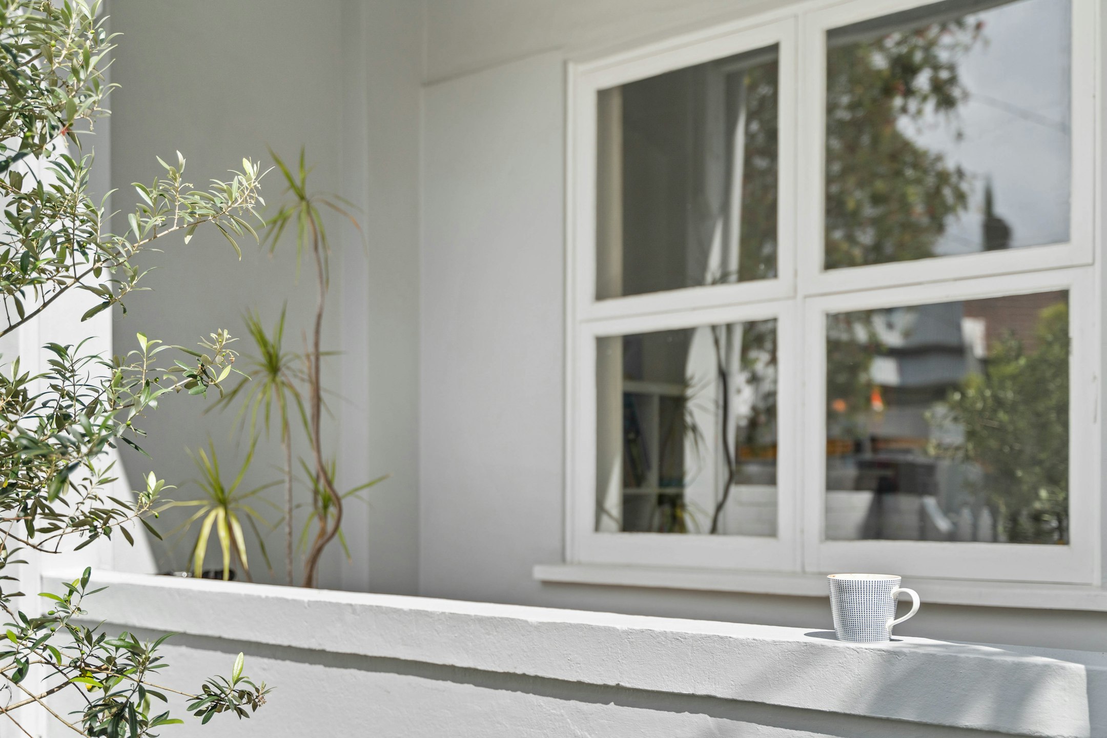 window