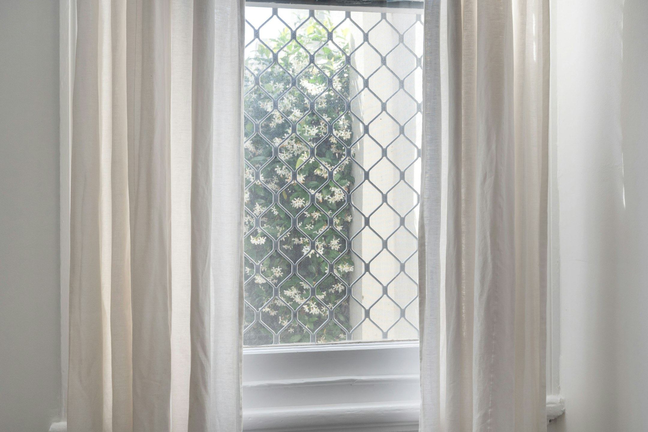 window