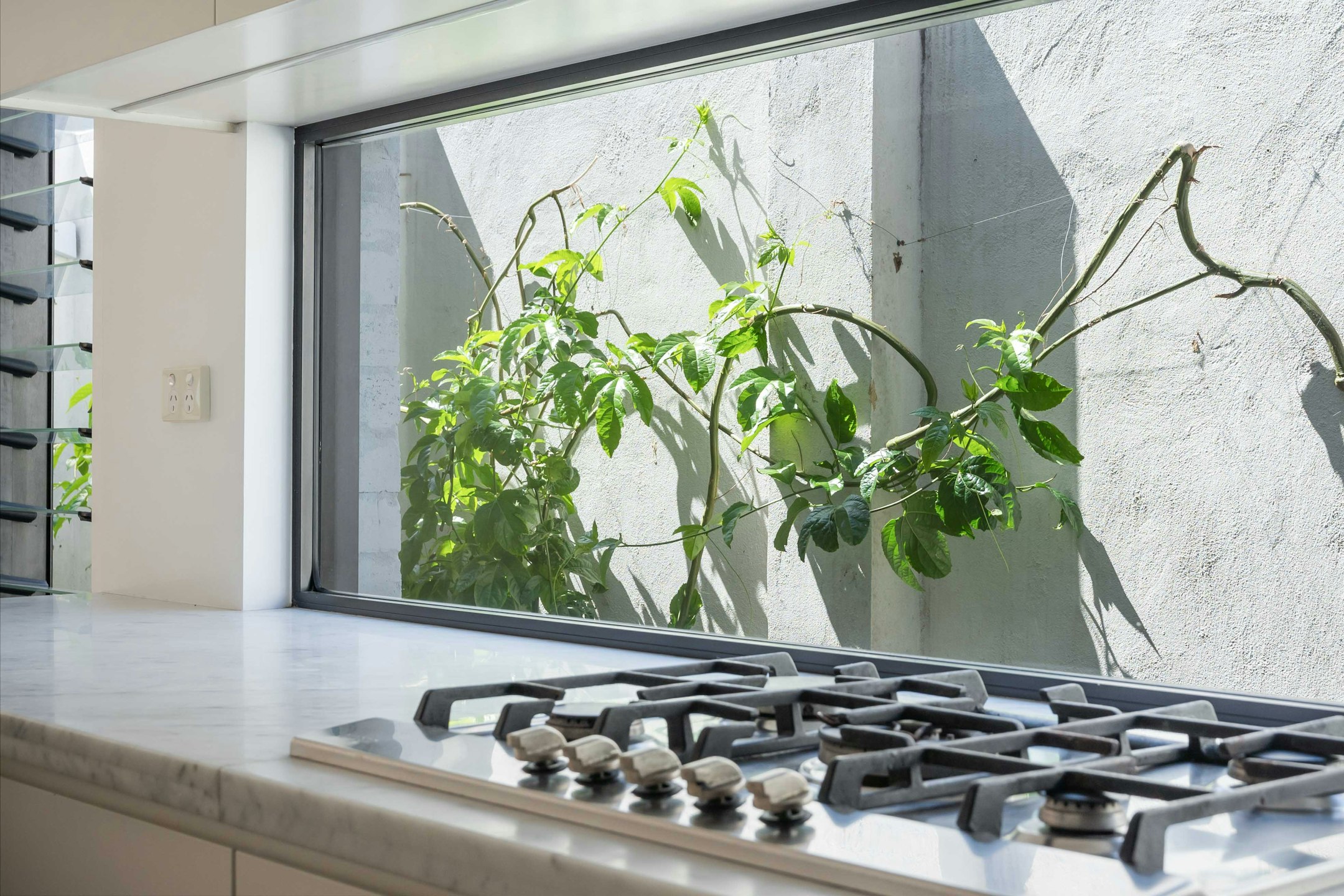 window