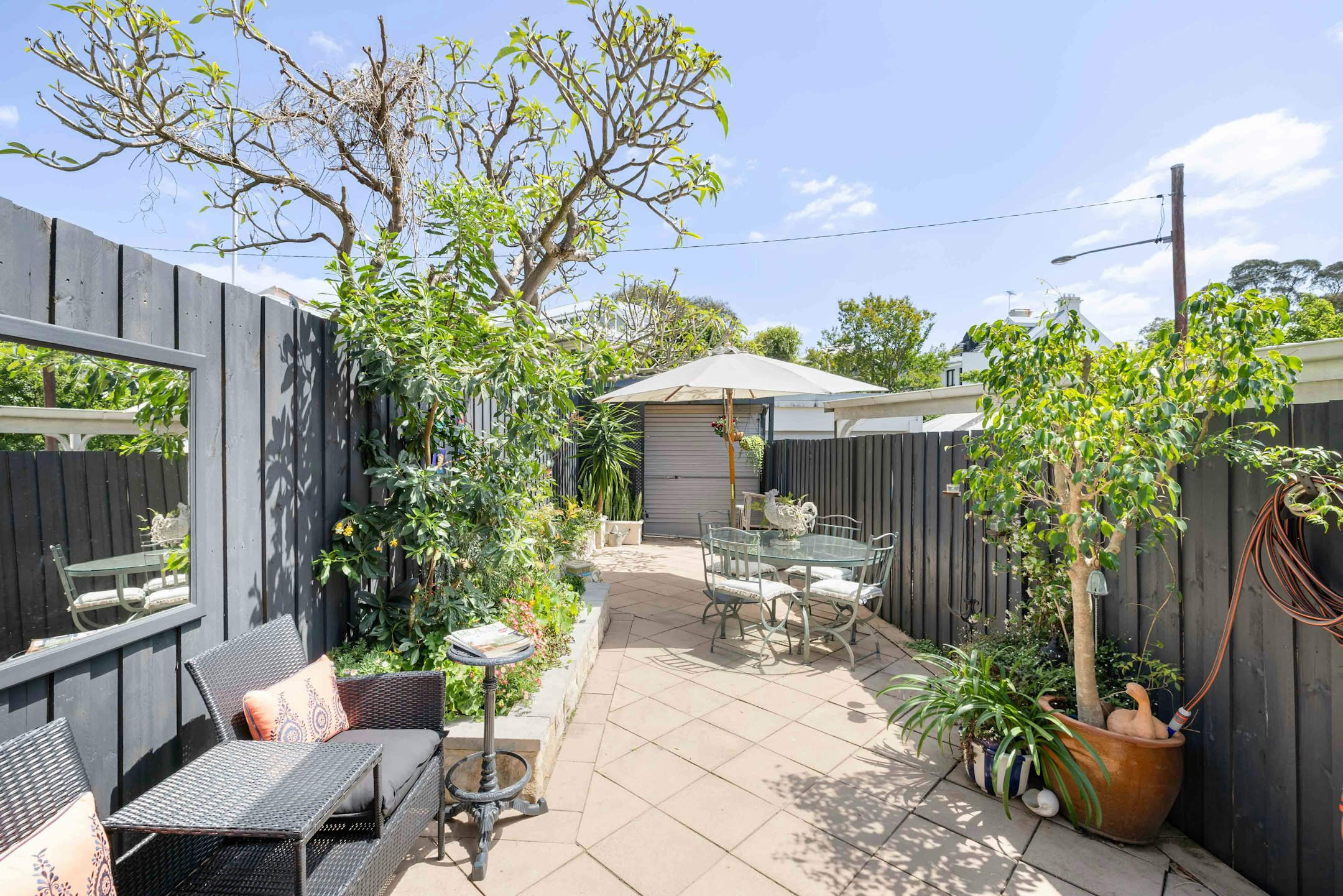 backyard