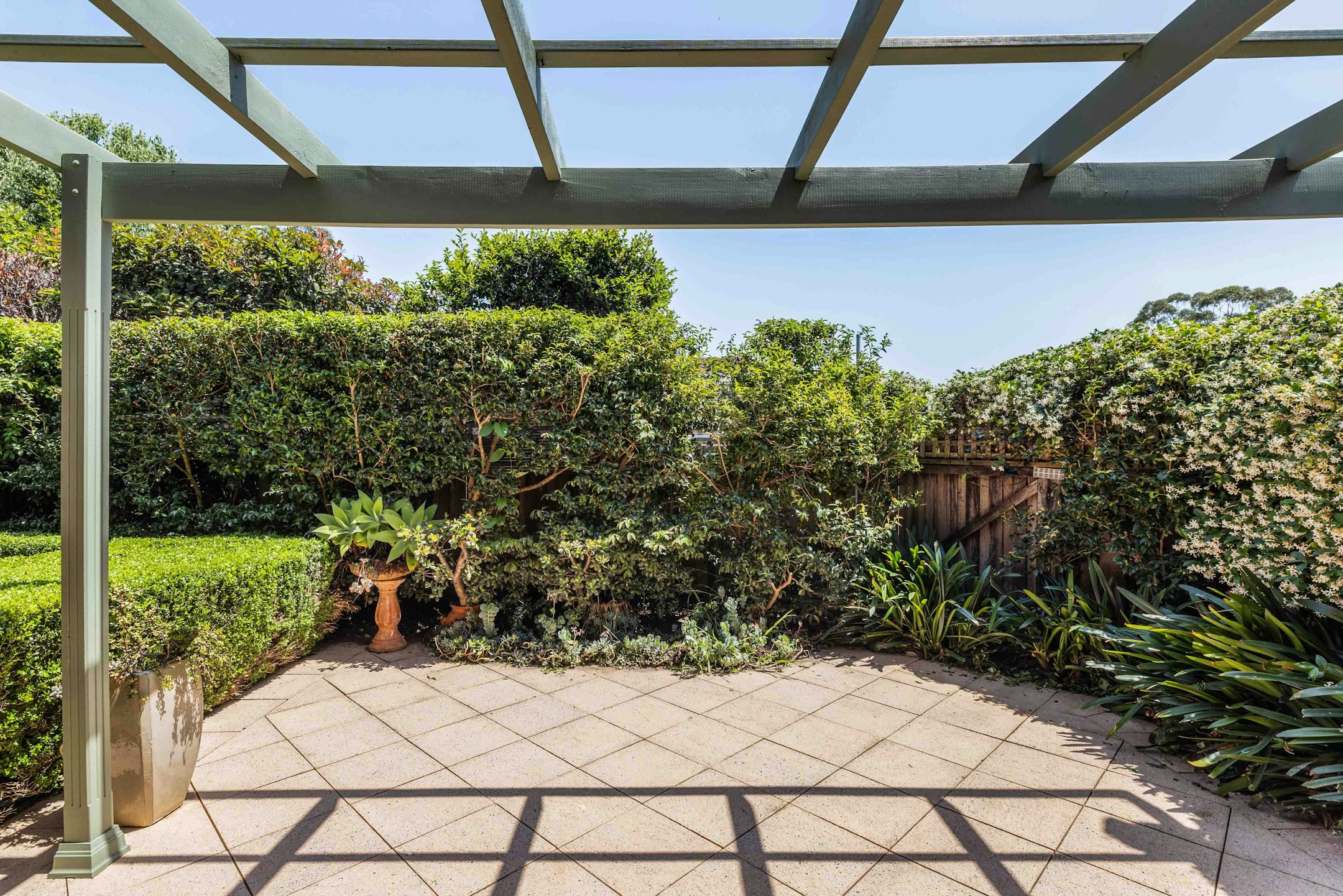 garden