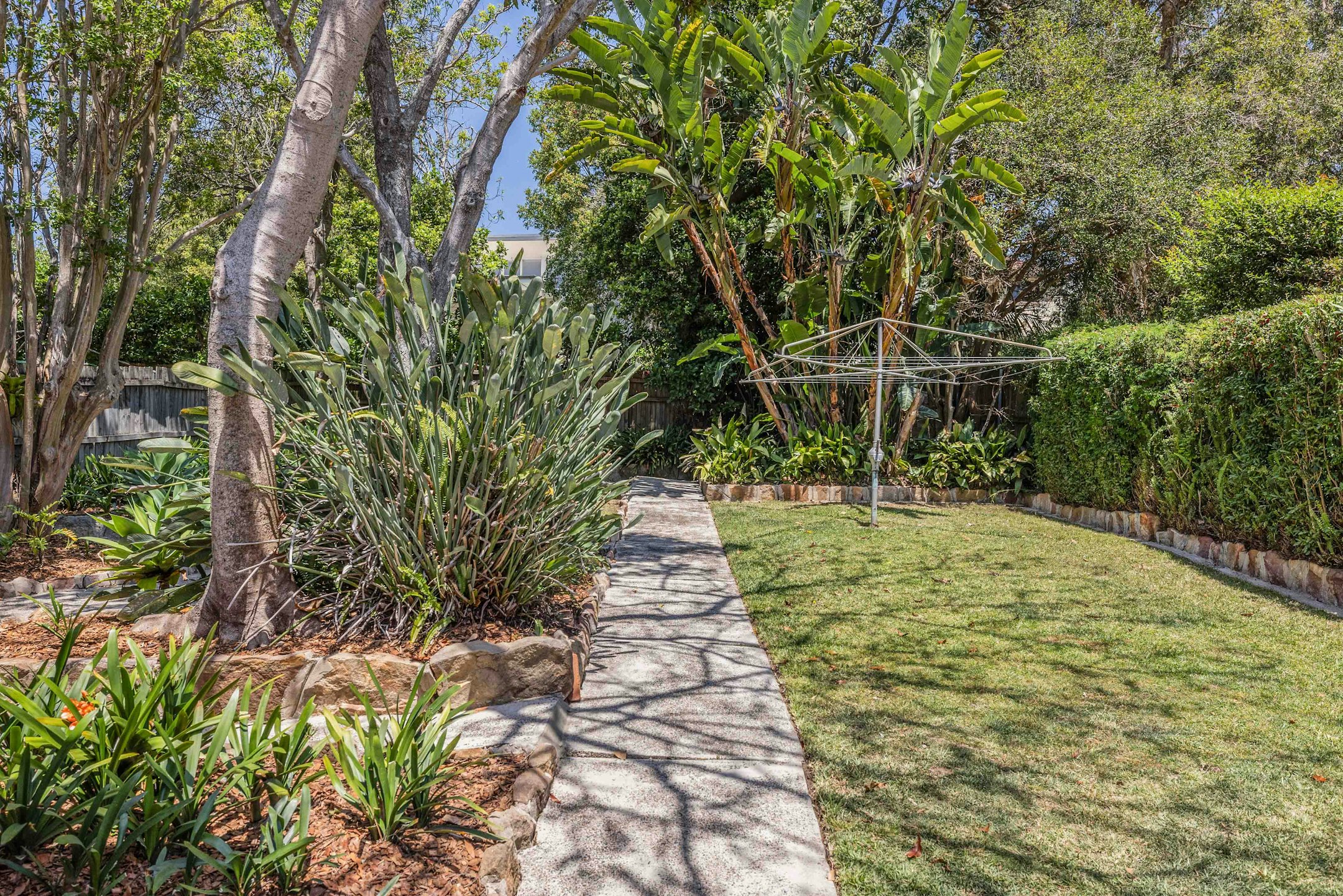 garden
