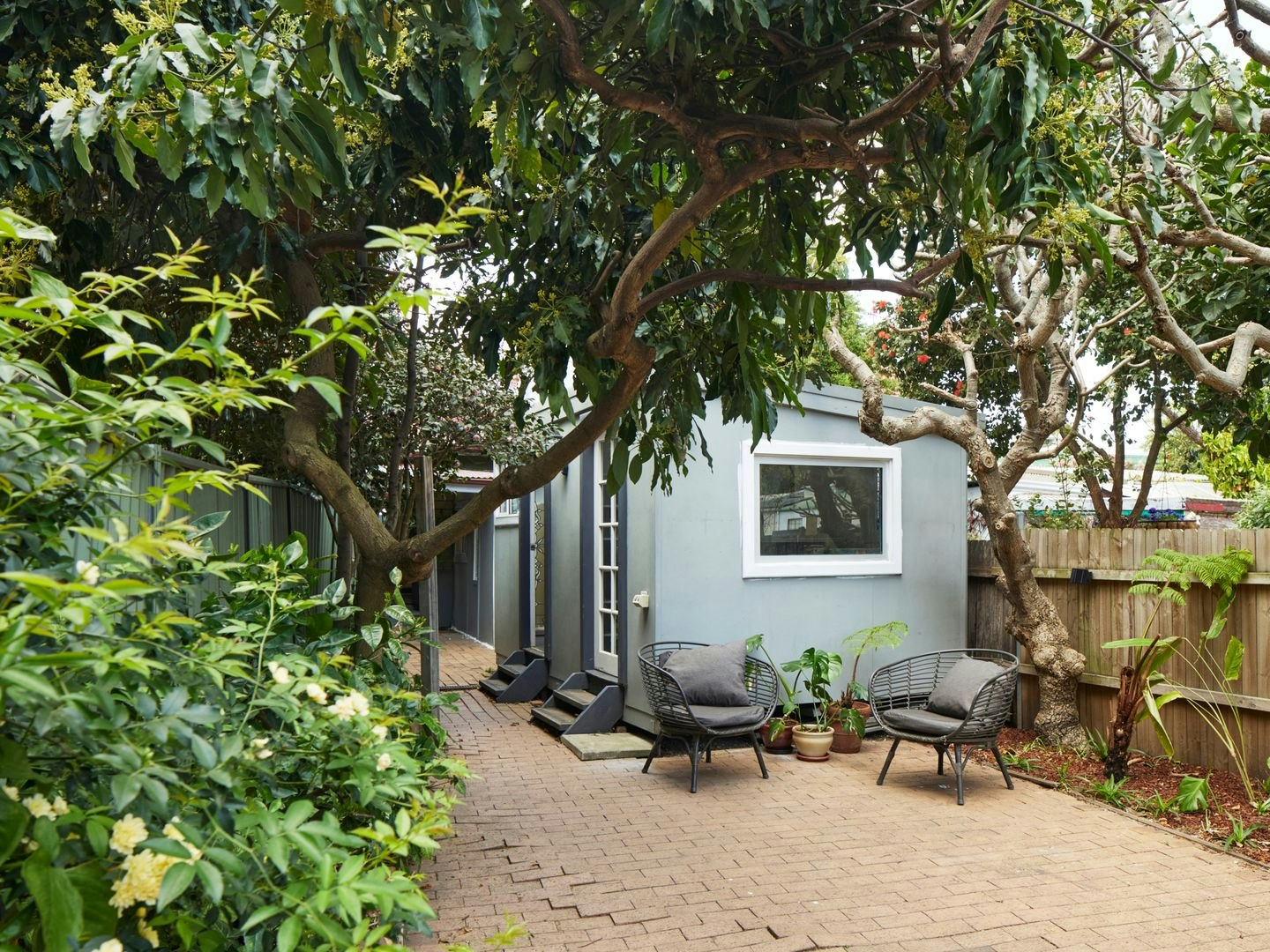 backyard