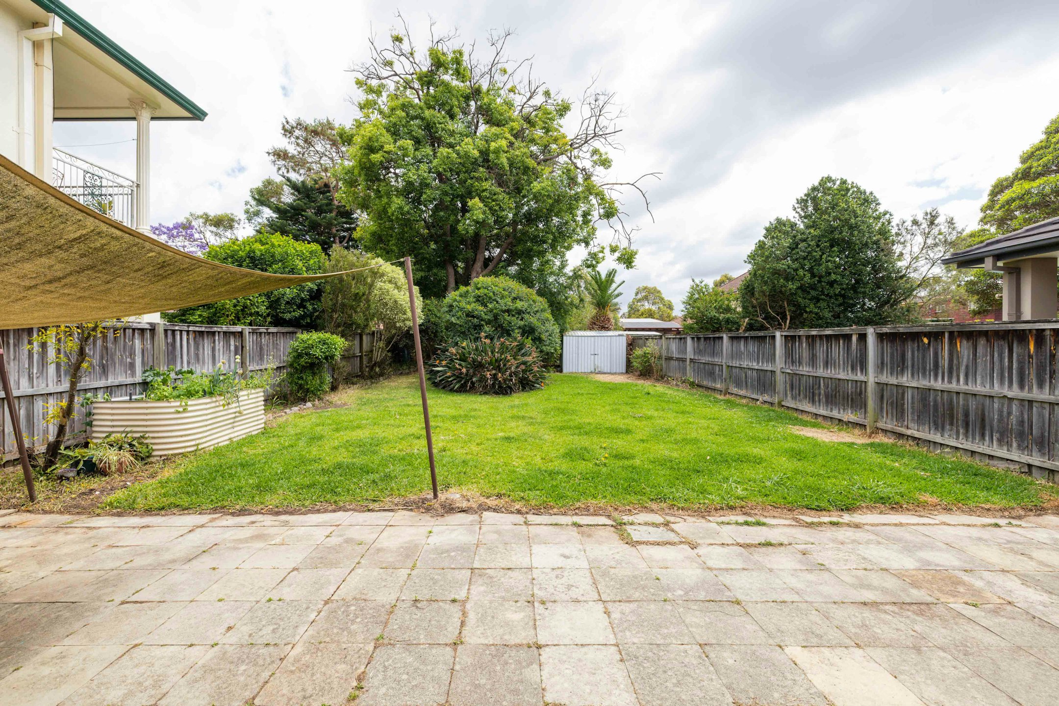 backyard