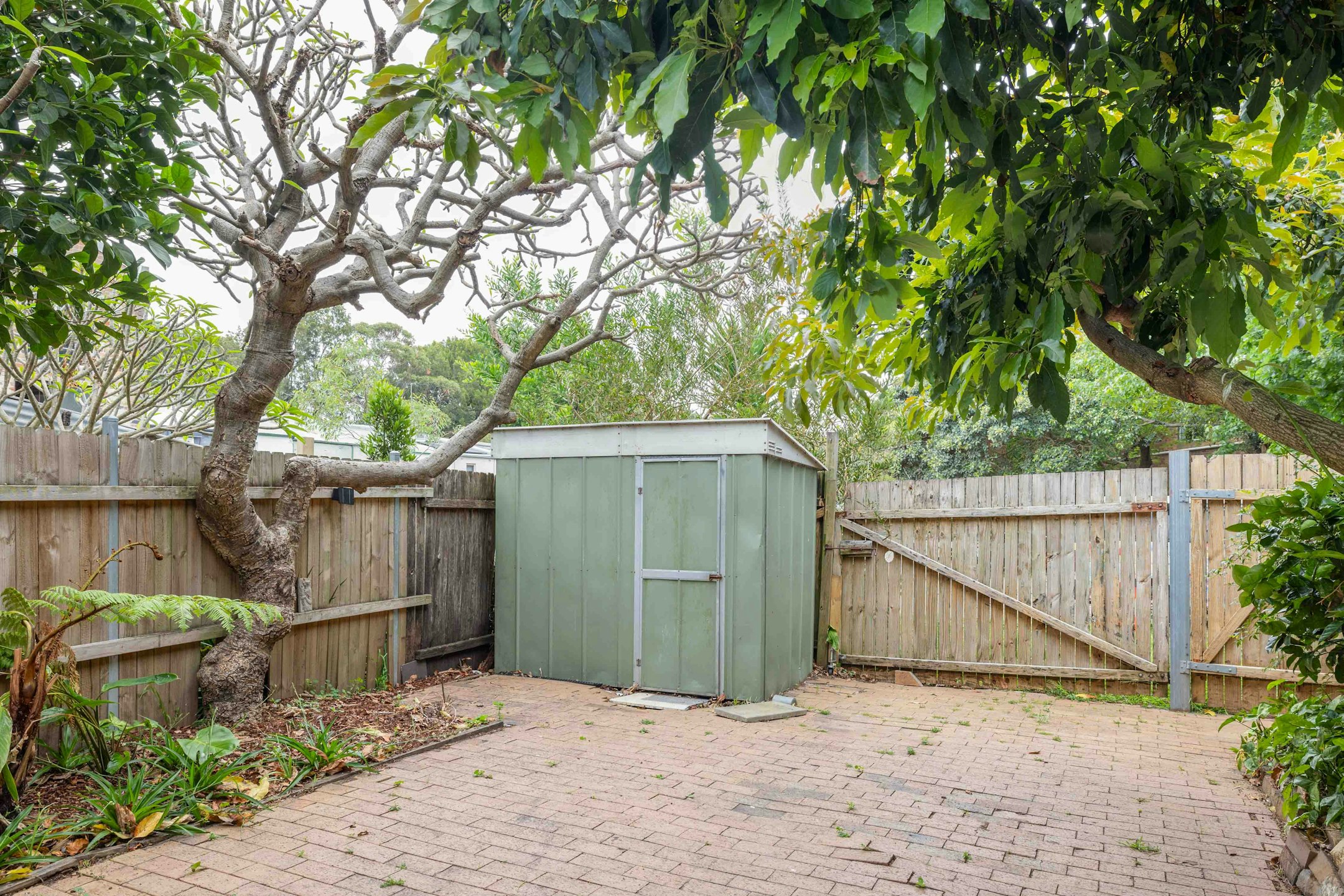 backyard