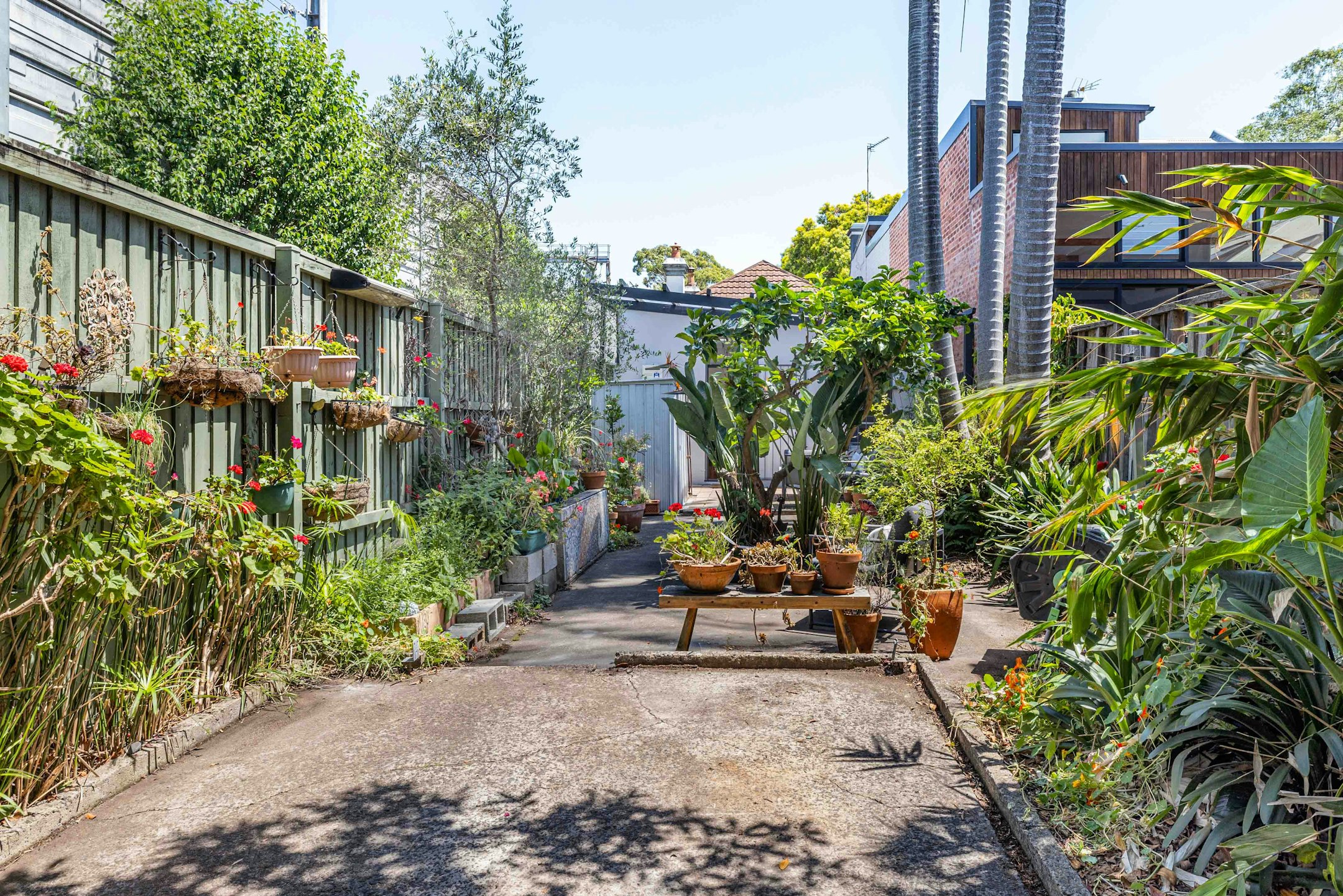 garden