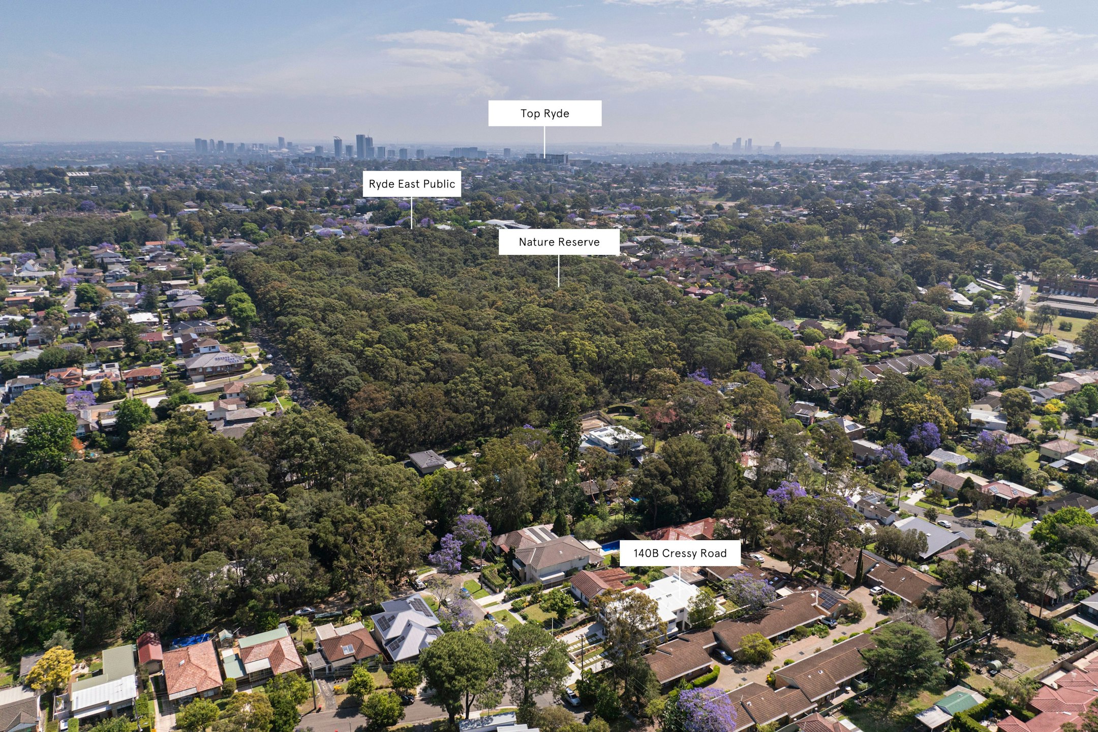 neighborhood