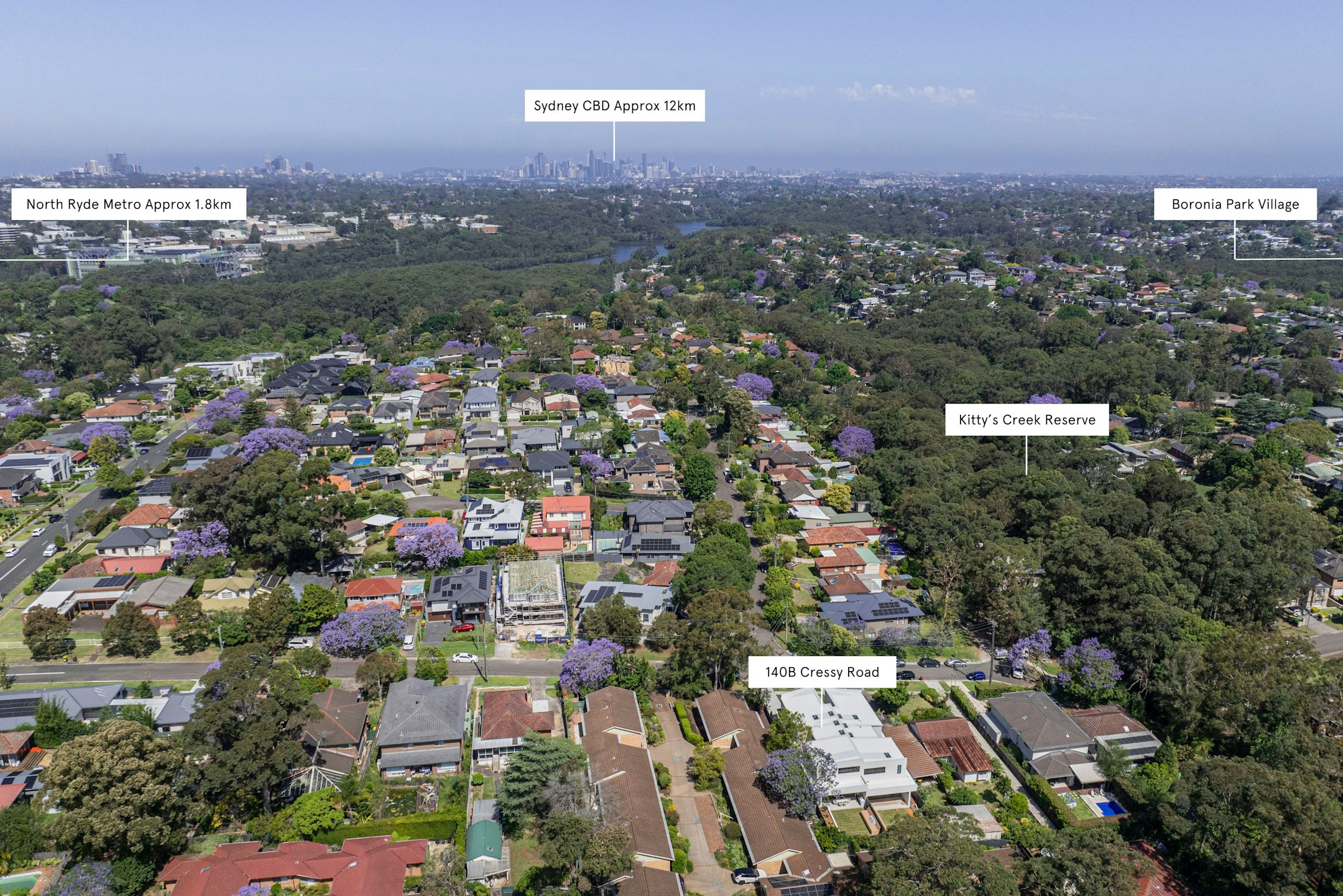 neighborhood