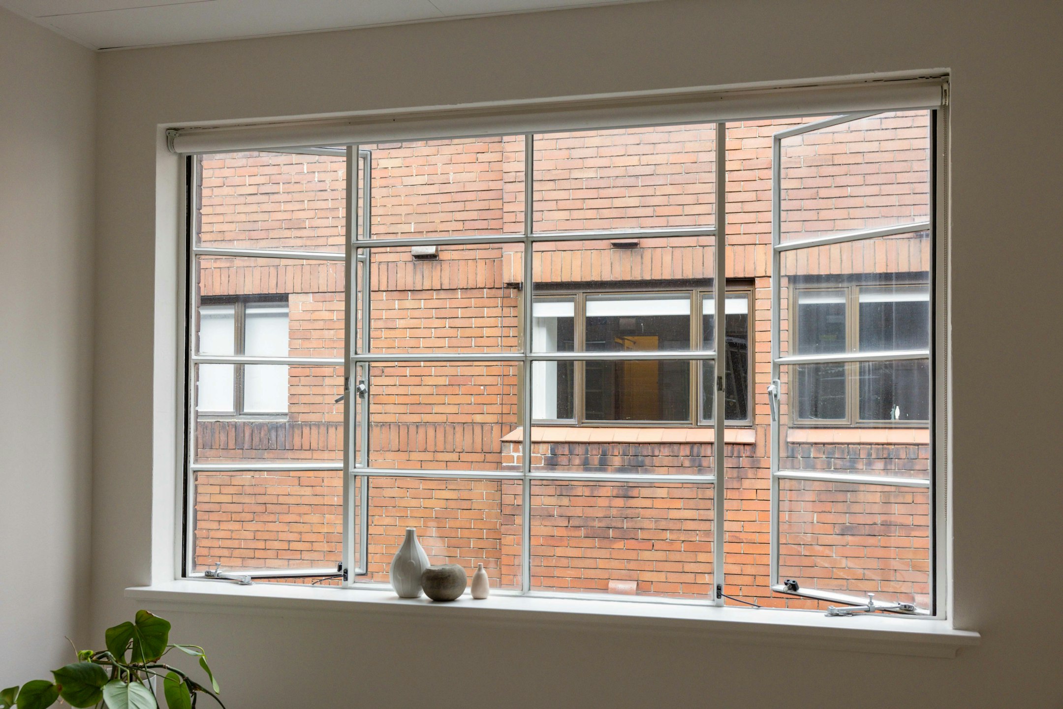 window