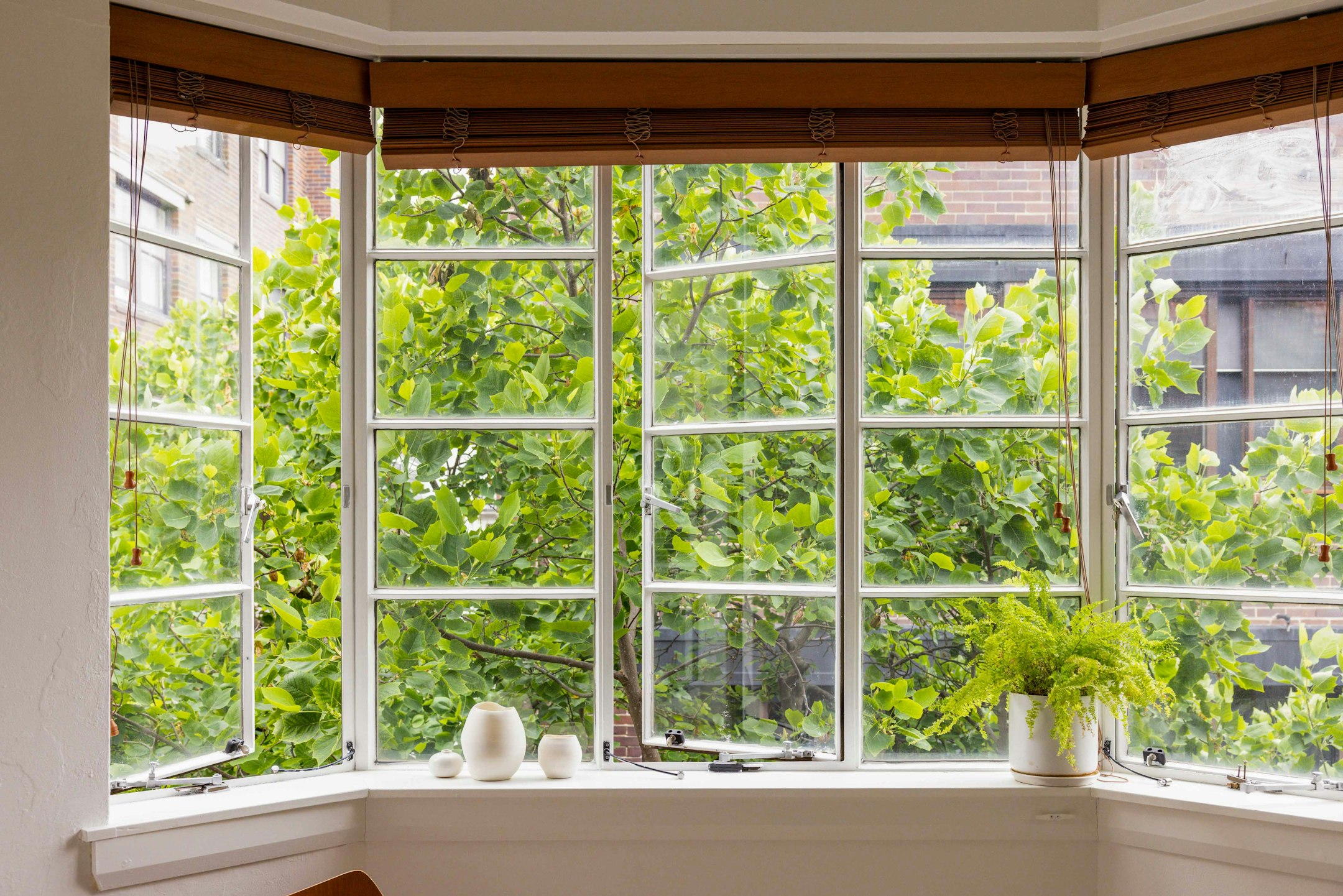 window