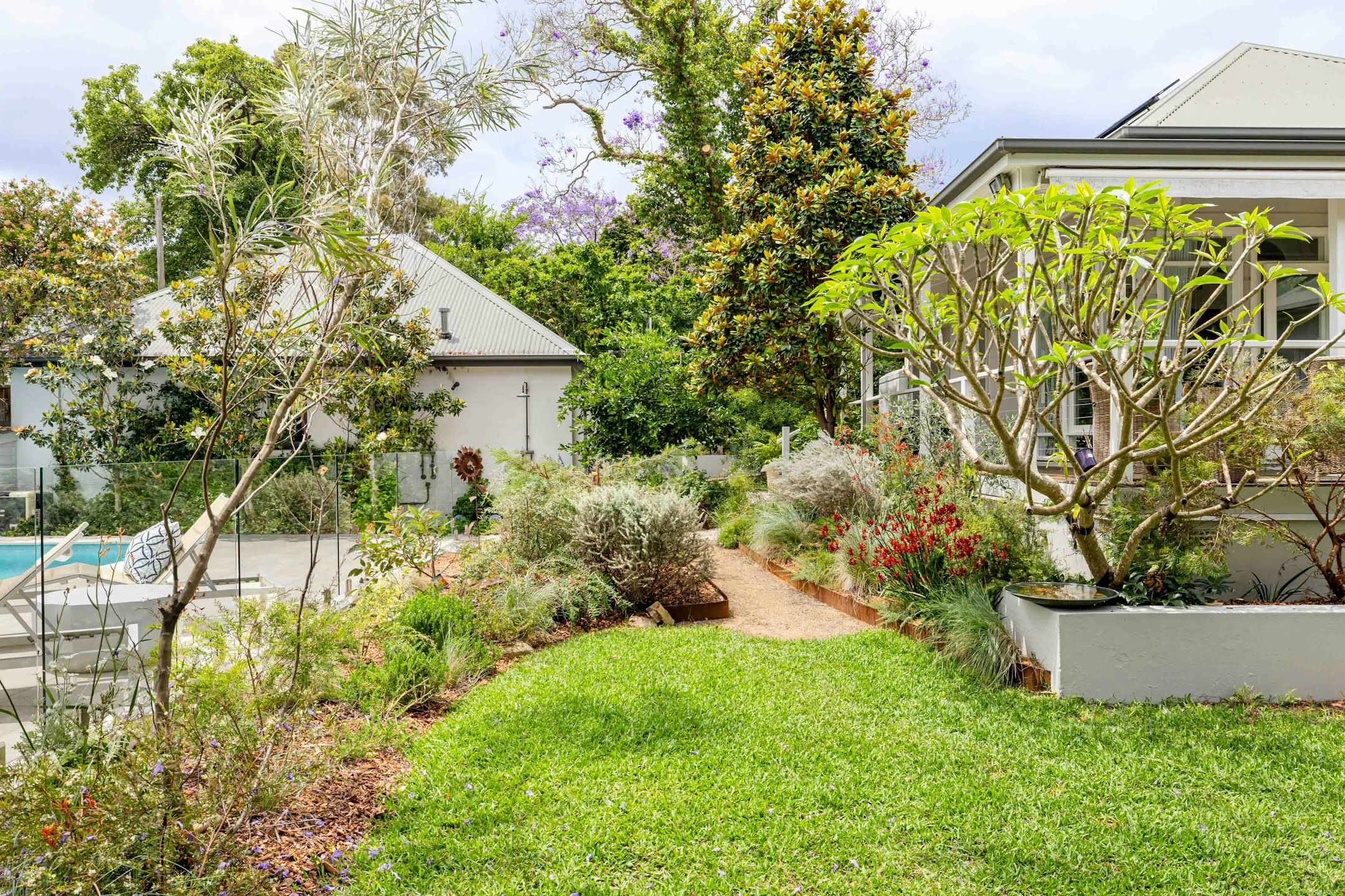 backyard
