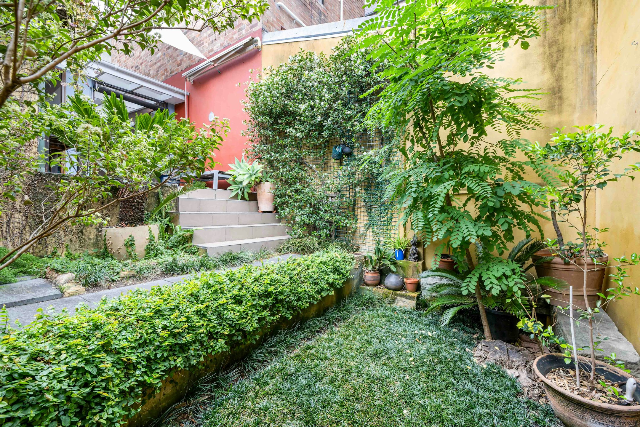 garden