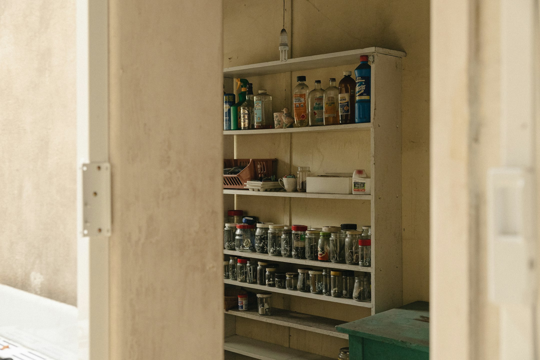shelf