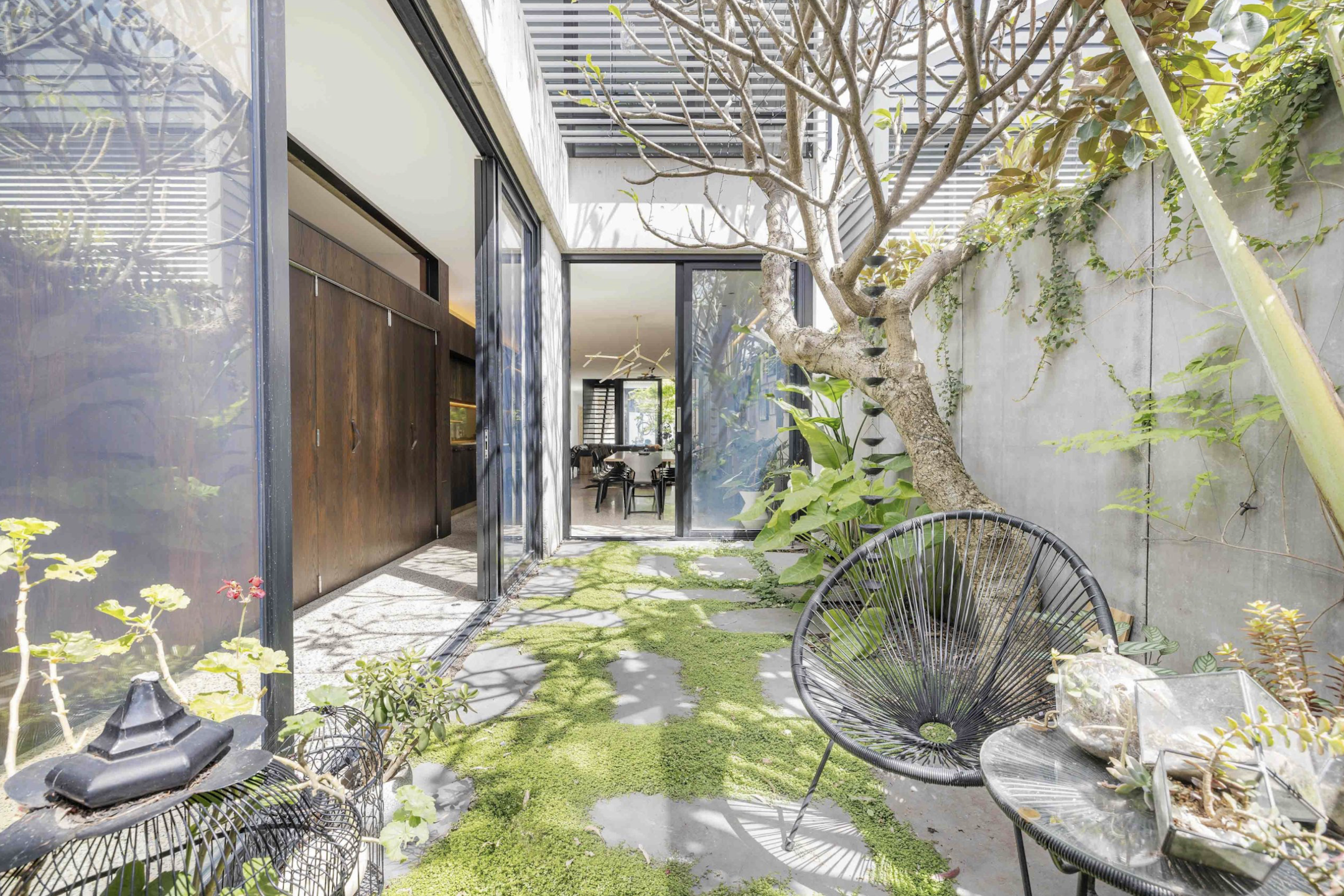 garden