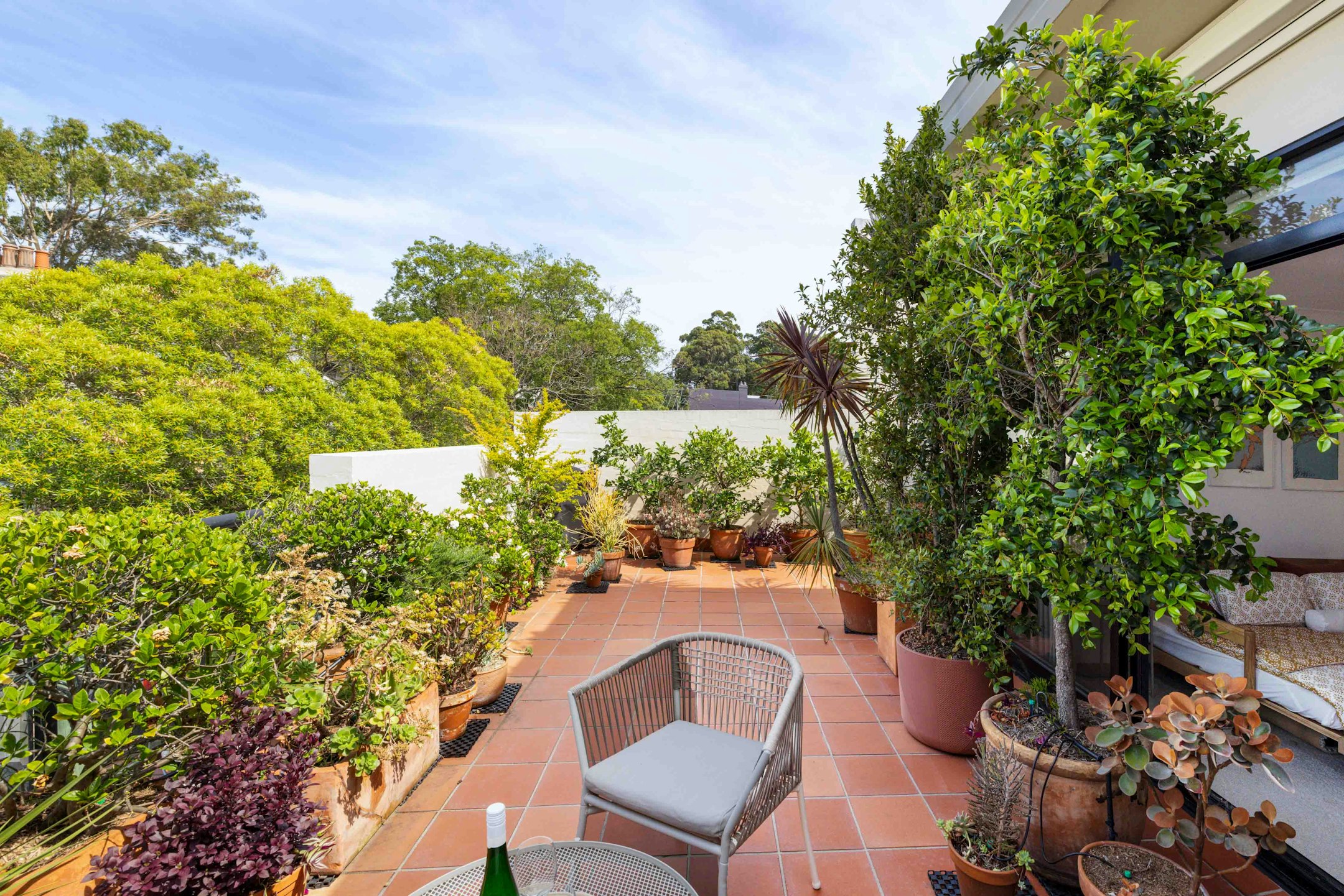 garden